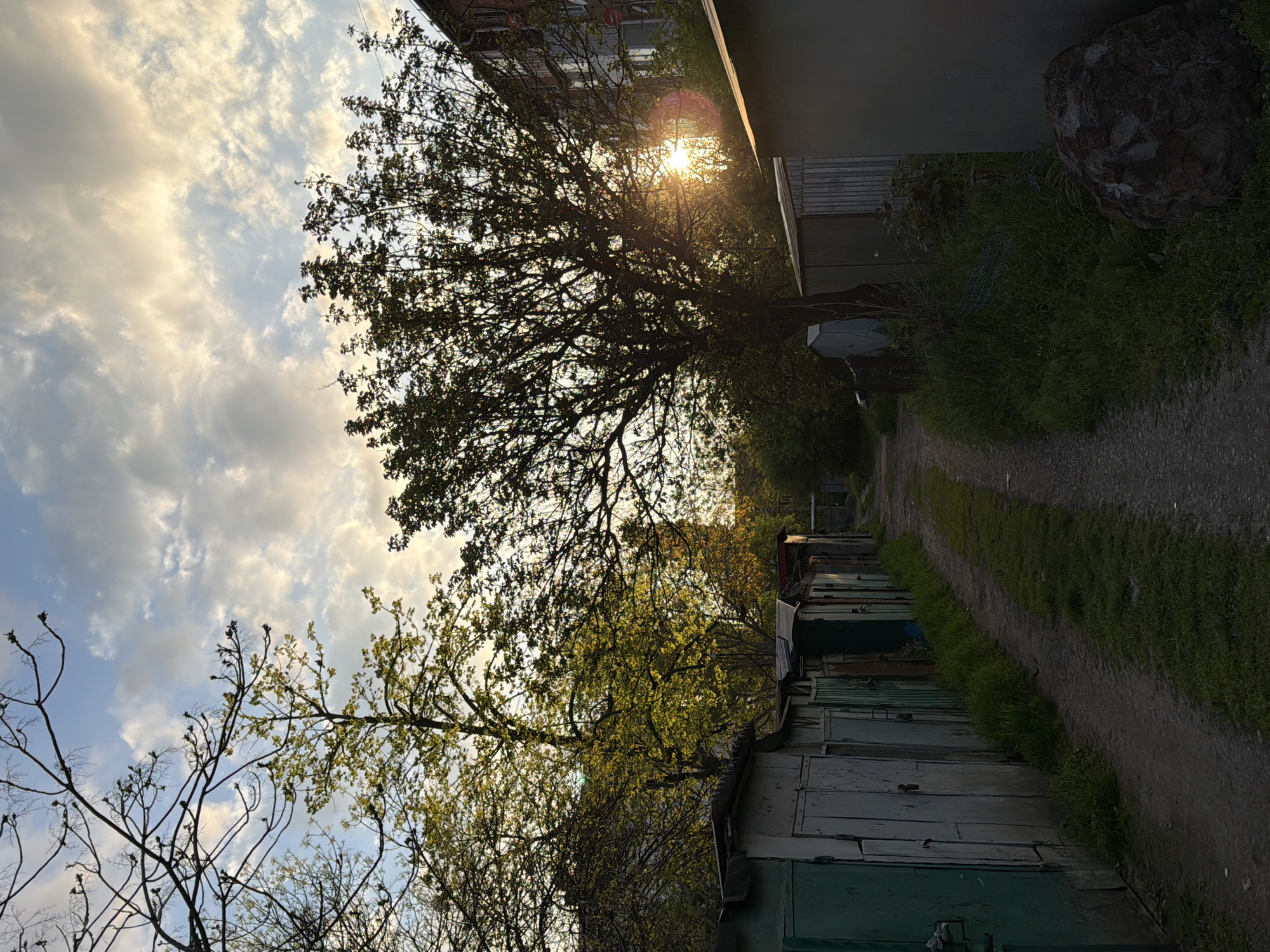 The image depicts an outdoor scene, likely an alleyway or service road, illuminated by a low sun. On the right side, a long row of weathered garages or sheds stretches into the distance. These structures are made of corrugated metal and wood, painted in various shades of faded green, grey, and white, showing signs of age and wear. A dirt path with distinct tracks runs alongside these garages, flanked by strips of green grass.
On the left side of the path, a mix of trees with prominent foliage creates a natural barrier. The sun is either rising or setting, visible as a bright, warm light source through the dense branches of a large tree on the left, creating a strong lens flare. The sky above is partly cloudy, with scattered white and grey clouds. In the background, partially obscured by trees and the sun's glare, a multi-story building is visible. A large, dark rock or boulder is situated near the upper right portion of the image (when oriented correctly), and a white utility box is visible near the path on the right.
No specific human activity is taking place; it's a tranquil landscape shot. The time of day is clearly either sunrise or sunset due to the low angle and warm light of the sun. The presence of lush green leaves on the trees suggests the season is spring or early summer. No visible text is present in the image. The location is contextualized as Beryozovy, Russia.