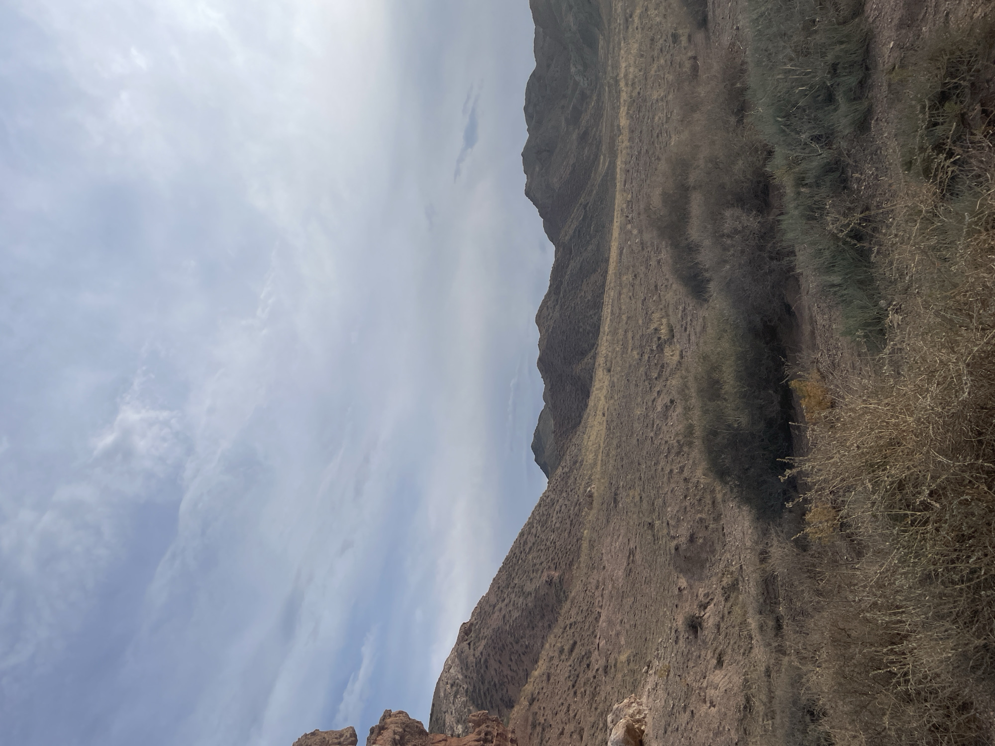 The image shows a wide landscape view of a desert-like environment with rolling hills and mountains under a cloudy sky. The terrain is dry and sparse, with patches of scrubby vegetation and dry grasses. In the foreground, there are dense clusters of dry, brushy plants. On the left side of the image, a prominent red rock formation juts out from a hillside. The background consists of layered hills and mountains that recede into the distance. The sky is partly cloudy with wispy clouds scattered across a light blue expanse. The overall scene suggests a remote, arid location, possibly within the region of Tamerlik, Kazakhstan. There are no people or specific objects of interest visible beyond the natural landscape.