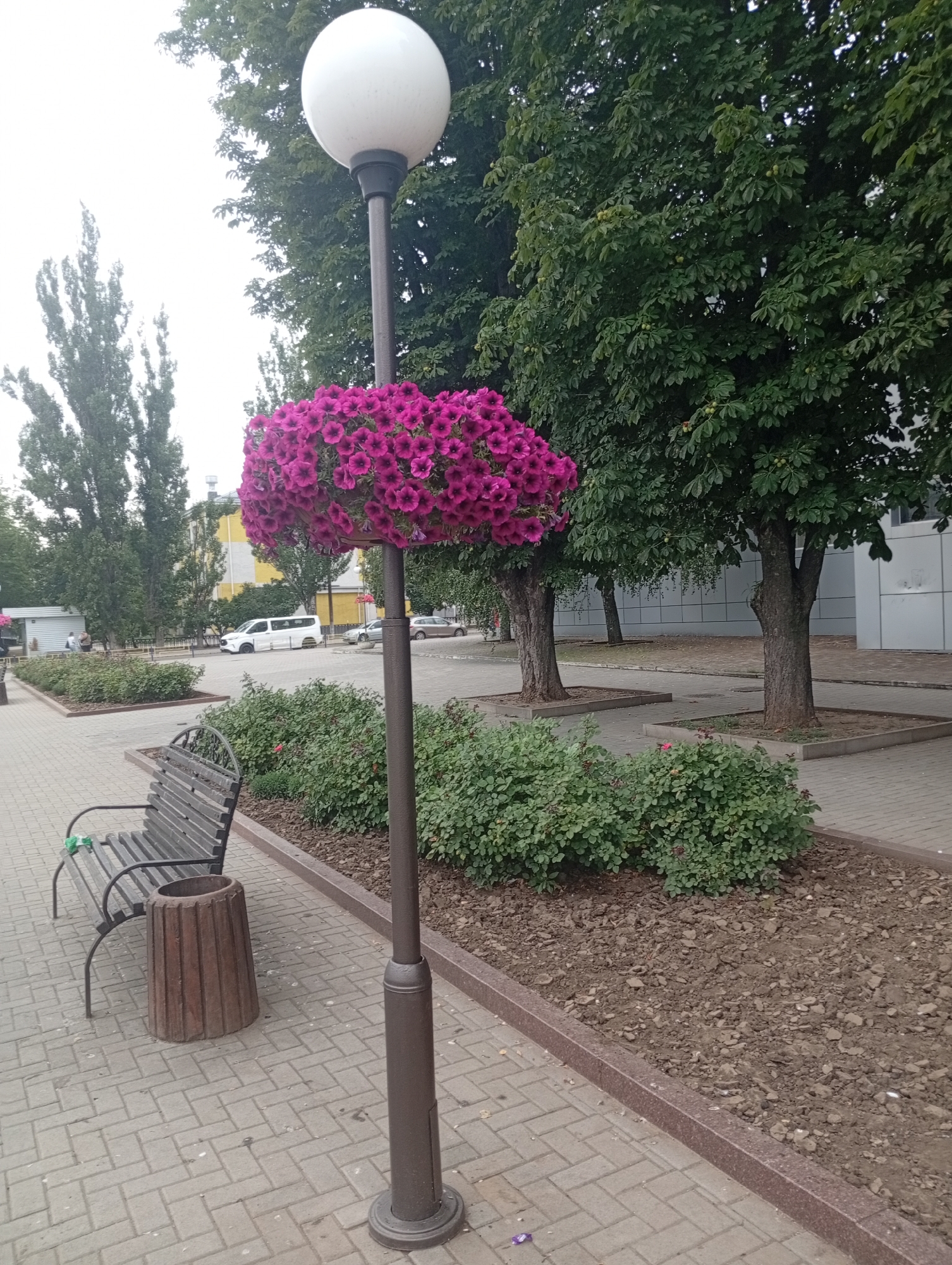 A lamp post adorned with a large cluster of bright pink flowers stands on a paved sidewalk. To the left of the lamp post, a dark metal park bench is visible, next to a cylindrical wooden trash receptacle. Behind the bench and trash can, green bushes form a manicured border along the sidewalk. In the background, trees and buildings can be seen, with a white van and a silver car on a street. The sky is overcast. The scene is consistent with an urban environment in the city of Pokrov, Ukraine.