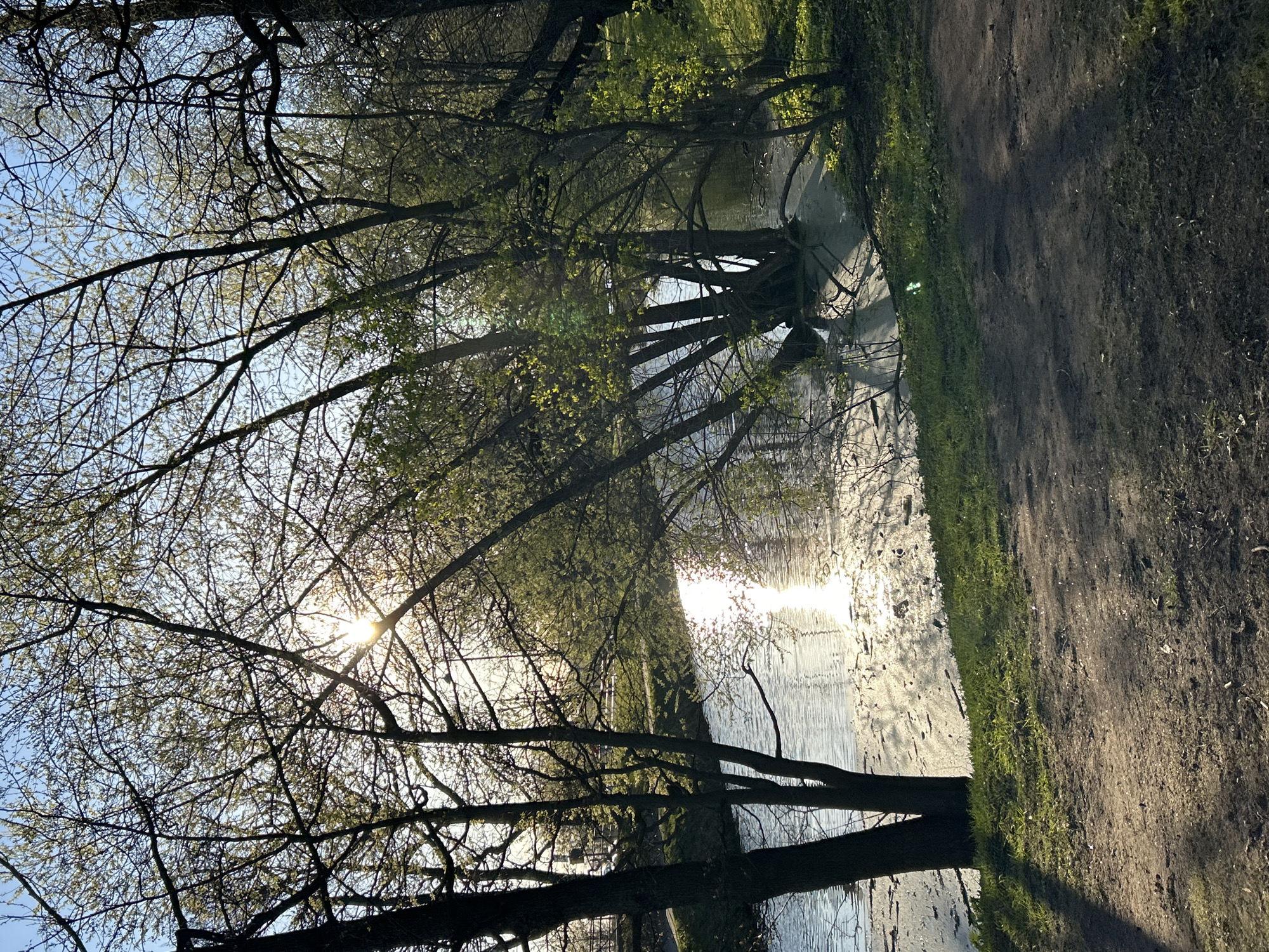 The image depicts a body of water, possibly a canal or narrow river, located in a park-like setting. Trees line both sides of the water, their branches and foliage casting shadows and reflections on the surface. Sunlight filters through the trees, creating a bright, sparkling effect on the water. A dirt path runs along one side of the water, adjacent to a grassy area. The location is suggested to be Saint Petersburg, Russia. There are no people visible in the image.