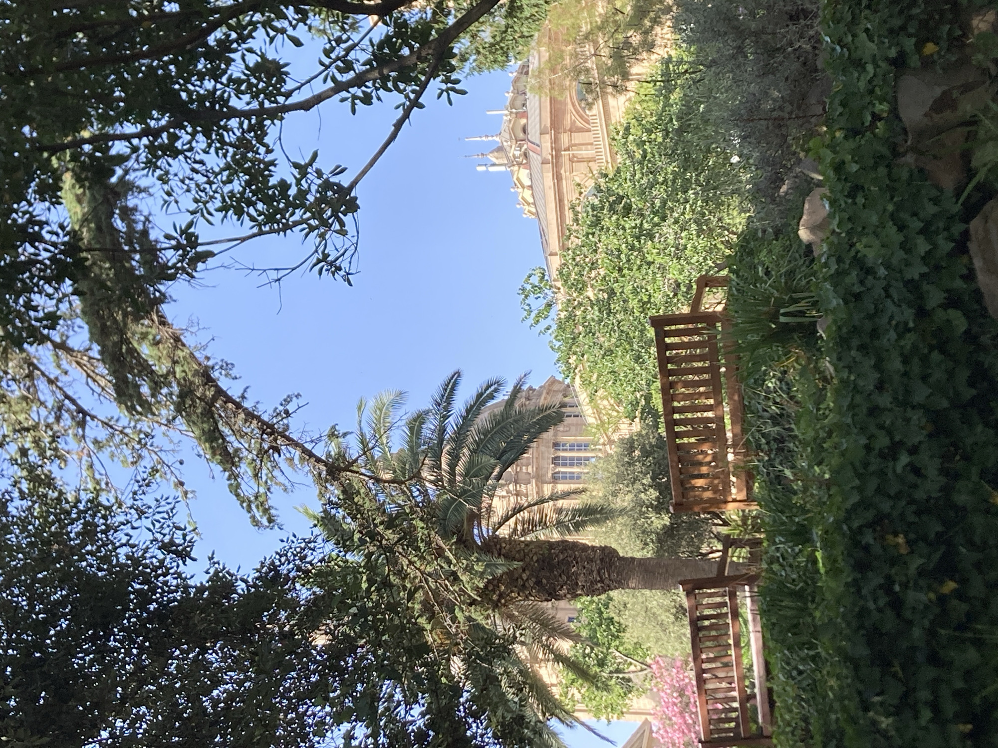The image shows a sunny day in a garden in Barcelona, Spain. In the foreground, there are two wooden benches and lush green foliage, including ivy and ornamental grasses. Behind the benches, a palm tree stands tall, with a large building featuring domes and spires visible in the background. The building appears to be made of light-colored stone and has numerous windows. The sky is a clear blue.