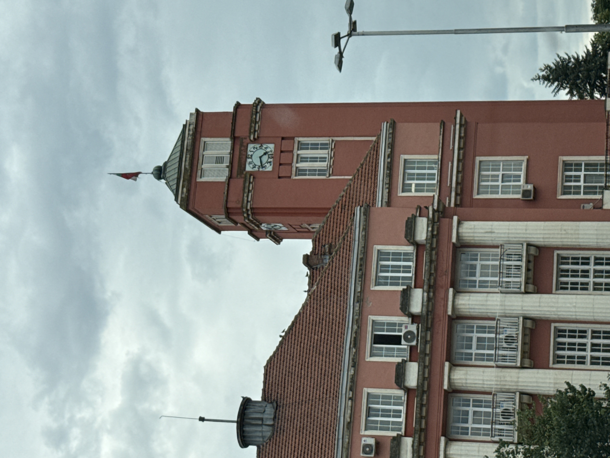 This is a vertically oriented photograph of a historic building, likely a town hall or administrative building, in Pleven, Bulgaria. The building has a prominent clock tower with a red roof and a weather vane. The facade is painted a salmon pink, and features numerous windows with white frames. The building appears to be multi-storied with architectural details like pilasters.
The sky is overcast, suggesting a cloudy or possibly rainy day. The time of day is not explicitly discernible, but the lighting suggests it is daytime. There are no people visible in the image. The overall impression is one of historical significance and architectural grandeur, set against a muted, cloudy sky. The building's style suggests it may be from the early to mid-20th century. There is a tree visible on the right side of the image, partially obscuring the building. A lamppost is also visible in the upper right quadrant of the image.
