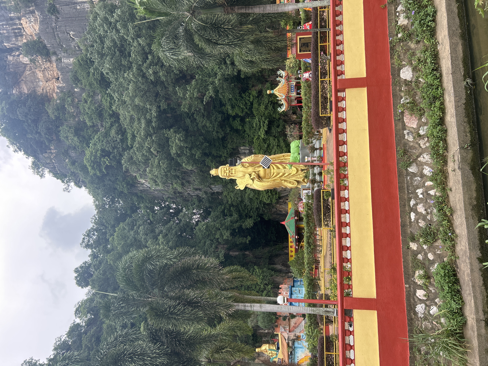 This image depicts the entrance to a temple complex nestled against a towering limestone cliff, characteristic of Ipoh, Malaysia. The focal point is a large, ornate golden statue of a deity, likely a prominent figure in Chinese mythology, positioned centrally. The statue is adorned with a traditional headdress and flowing robes, and it holds a symbolic object. In front of the statue, a green animal sculpture, possibly a guardian creature, is visible.
The temple grounds are vibrantly decorated with colorful buildings featuring traditional Chinese architectural elements, including red and green tiled roofs and decorative eaves. Several smaller statues of figures in traditional attire are placed around the complex, some standing near a red monument with inscriptions. Palm trees frame the scene, with their fronds reaching towards the overcast sky, and lush green foliage covers the lower slopes of the imposing cliff face, which is dotted with trees and rocky outcrops.
A prominent, two-tiered wall, painted bright yellow and red, runs across the foreground, separating the temple grounds from a water channel. The wall is topped with a decorative balustrade. The water channel itself is lined with rough-hewn stones and overgrown with various green plants and small purple flowers. The overall atmosphere suggests a place of religious significance and cultural heritage, set within a dramatic natural landscape.