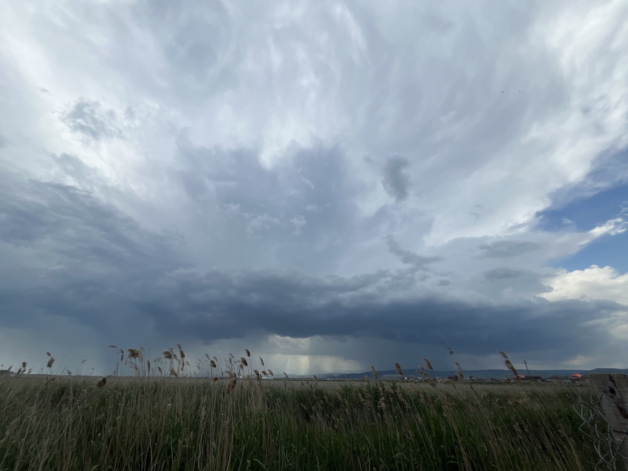 The photograph captures a landscape on the outskirts of what is identified as Kaspiysk, Russia, under a dramatic sky. Dominating the upper portion of the image are dark, heavy storm clouds that suggest imminent or ongoing rainfall. The lower third of the image depicts a field of tall grass and reeds. In the distance, a few buildings and structures are faintly visible, indicative of a rural or semi-urban setting bordering the city. Rain falls in a visible shaft from the dark clouds.