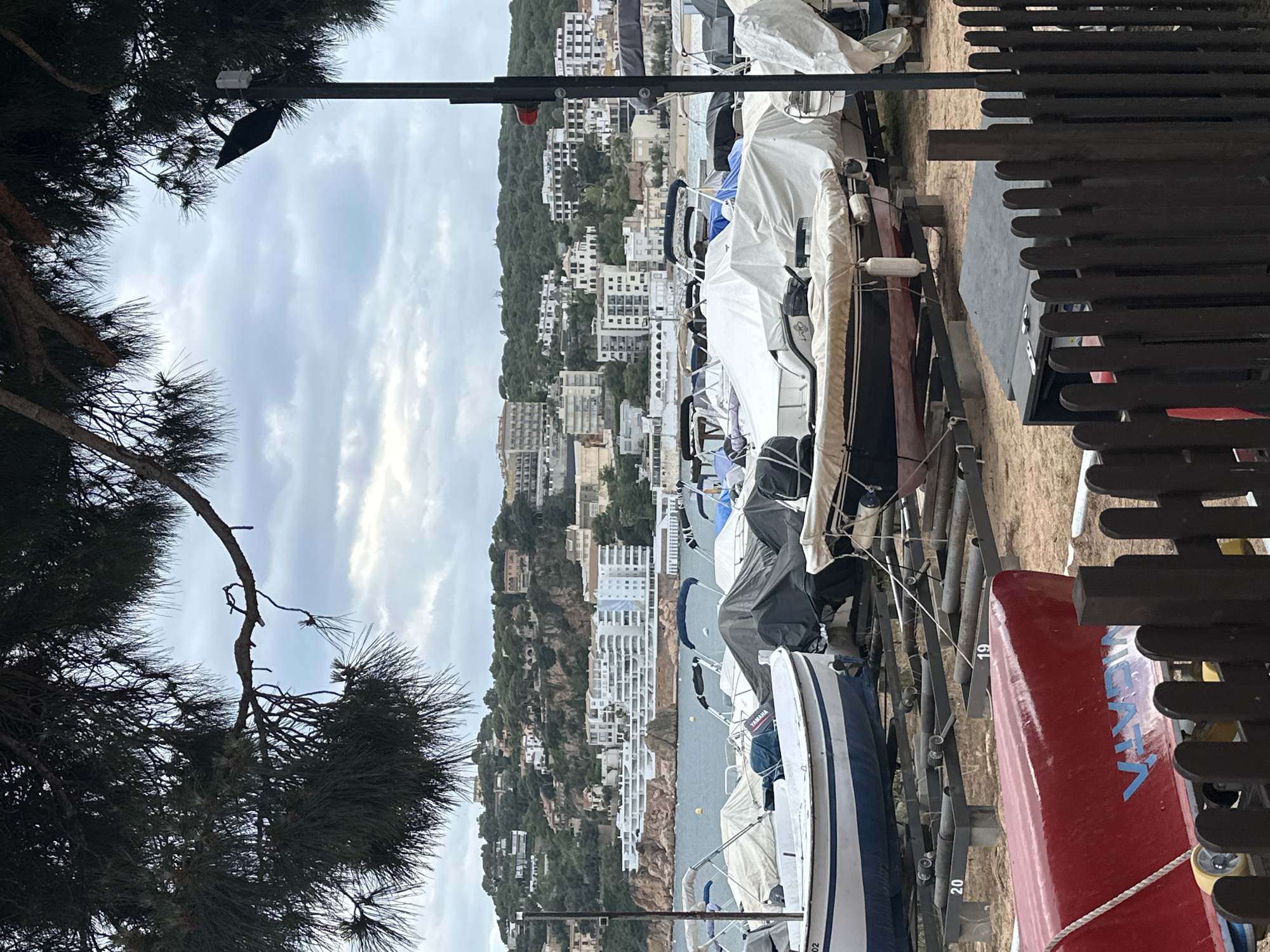 This image shows a coastal scene in Sant Feliu de Guíxols, Spain. The foreground features the branches of a pine tree on the left, contrasting with a row of boats parked on land. The boats are of various sizes and types, some covered with white tarpaulins. A red boat with the name "WIGATA" is visible near a dark wooden fence. The background displays a hillside covered with buildings, ranging from individual houses to larger apartment complexes. The sea can be seen in the distance between the buildings and the boats, with a cloudy sky overhead. A lamppost stands near the boats.
