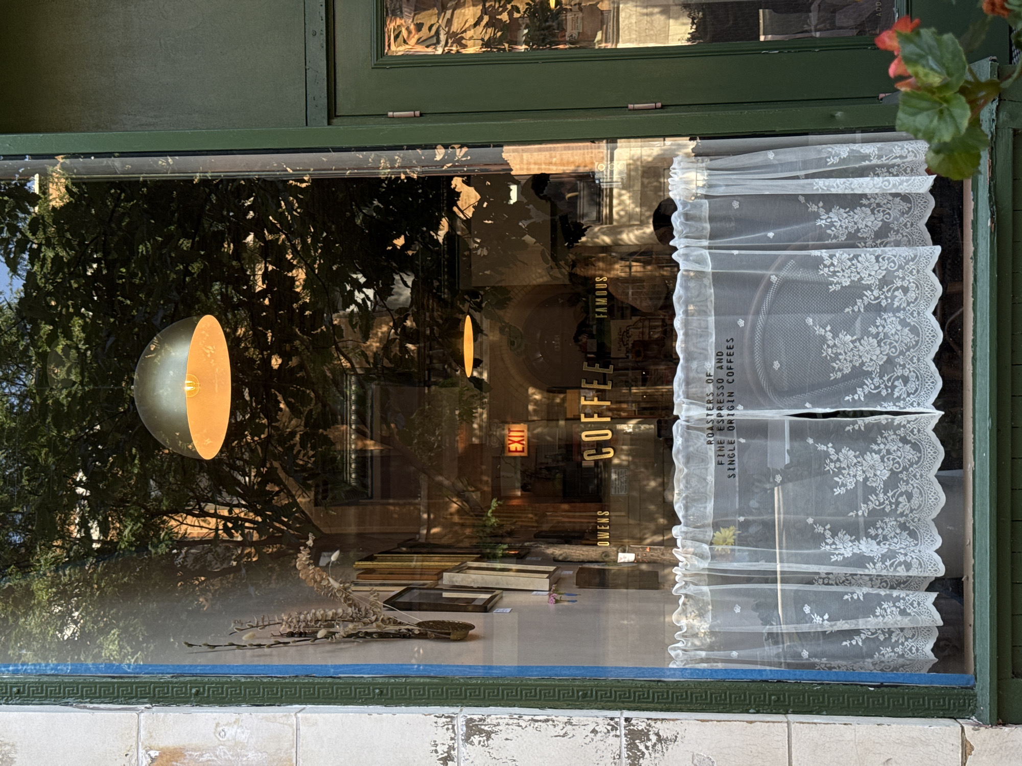 The image captures the exterior of a coffee shop, "OWENS COFFEE FAMOUS ROASTERS OF FINE ESPRESSO AND SINGLE ORIGIN COFFEES," as seen through its storefront window. The window is partially covered by a white lace curtain with a floral pattern. Inside, a golden pendant light hangs from the ceiling, illuminating the space. An "EXIT" sign is visible in red. The reflection in the window shows trees and the facade of a building opposite. The coffee shop appears to be located on a street in Chicago, Illinois, United States of America, indicated by the architectural style and the name on the window which is common in the city. A small plant with red flowers is visible in the bottom right corner of the frame.