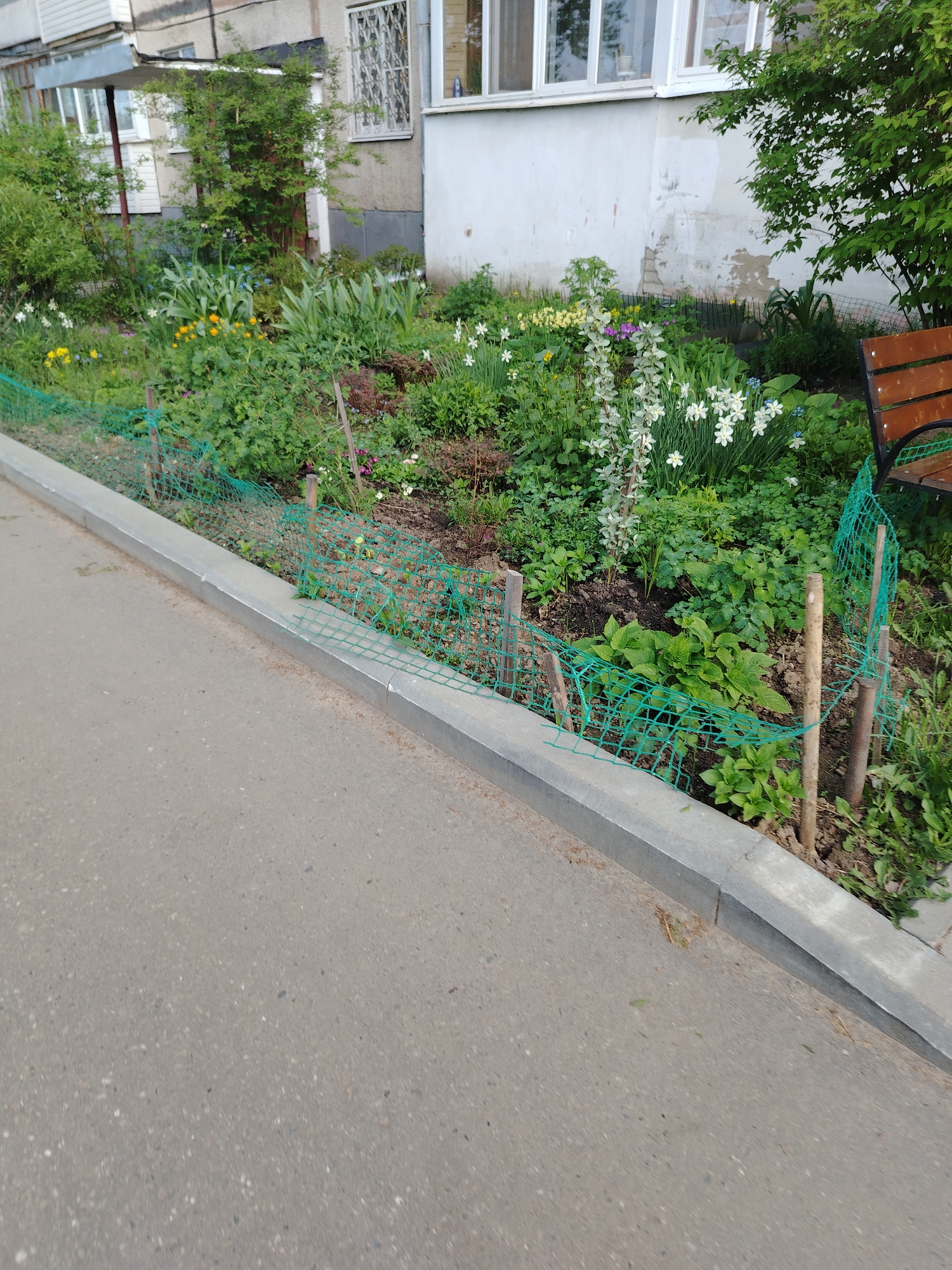 The image depicts a small, fenced garden bed situated next to a sidewalk in Yaroslavl, Russia. The garden is enclosed by a low, green plastic mesh fence supported by wooden stakes. Inside the garden, a variety of plants are growing, including daffodils and other flowering plants. The garden is located alongside a paved sidewalk with a concrete curb. Behind the garden bed is a section of a building with windows. A wooden bench is also visible on the right side of the garden.