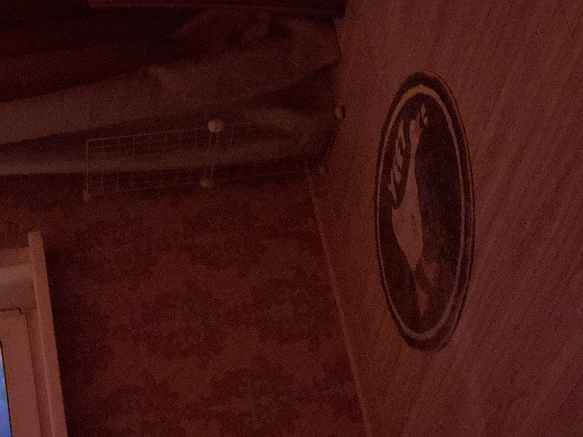 The image shows a dark, dimly lit room with red wallpaper and wooden flooring. In the foreground, a circular rug with a dark border and an image on it is visible. The image on the rug appears to be a stylized depiction of a duck or goose, with some text, possibly "YEP," above it. In the background, there is a metal rack with round objects, possibly decorative spheres or lights, attached to it. A curtain is visible behind the rack, and a window ledge can be seen in the upper left corner. The scene is consistent with an indoor setting. The location of Radkevshchina, Russia is not visually discernible from the provided image.