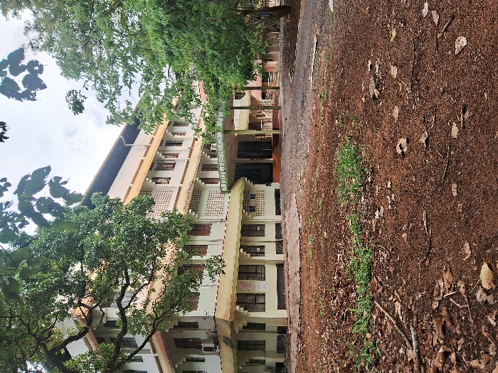 The image shows a two-story building with a flat roof and white walls. The building has many windows, some with blinds, and a canopy over the entrance. There is a large, brown-colored patch of ground in the foreground covered with fallen leaves and small patches of green grass. The ground is bordered by a paved area, and behind it is a concrete walkway that leads to the entrance of the building. Trees are on either side of the building and in the background. There is a sign above the entrance that reads “REGIONAL SCIENCE CENTRE”. The coordinates provided (latitude: 10.553, longitude: 76.222) are located near the Regional Science Centre in Thrissur, India. No people are visible.