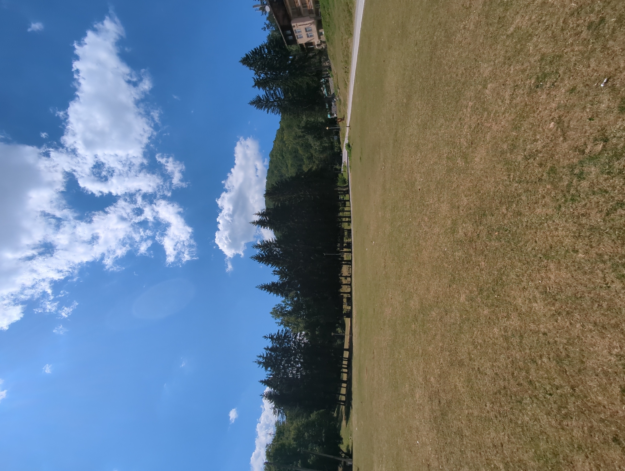 The image depicts a wide, dry, grassy field in the foreground under a bright blue sky with scattered white clouds. In the middle ground, a line of tall, dark green coniferous trees stretches across the scene. Behind the trees, a gentle, forested hillside rises, and to the right, a multi-story building with a light-colored facade and visible windows is situated on an incline. A paved road winds through the landscape, connecting the lower area to the building. The scene suggests an outdoor recreational area or park, possibly located on the outskirts of Vratsa, Bulgaria, given the mountainous terrain and architecture. There are no people or animals visible in the image.