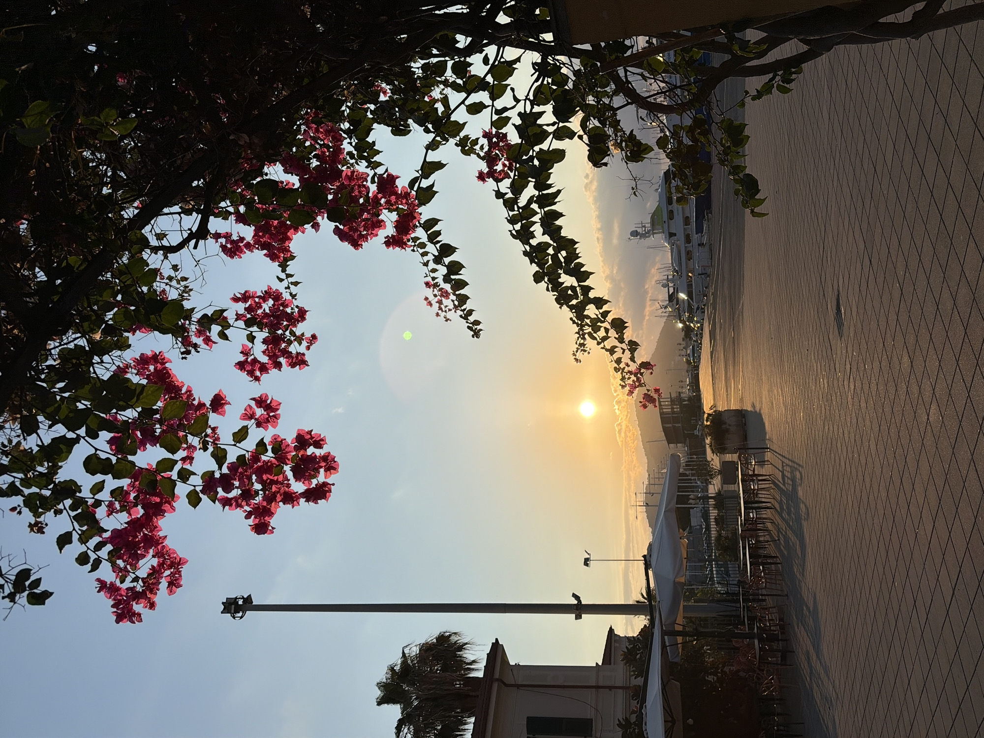 This image depicts a view of the harbor in Imperia, Italy, during sunset. The sky is a clear blue with a warm, orange sun low on the horizon, casting a soft glow on the scene. Clouds are visible near the sun. In the foreground, a tree with vibrant pink bougainvillea flowers frames the view from the right, with its branches extending across the top of the image.
To the left, a building with white walls and green shutters is visible, alongside a tall lamppost. In front of the building, tables and chairs are set up, suggesting an outdoor seating area for a cafe or restaurant, with umbrellas providing shade.
The harbor area itself is paved with square tiles and stretches towards the background. Several yachts and boats are docked, with their masts and structures silhouetted against the colorful sky. In the distance, a hilly landscape can be seen. The overall impression is one of a serene evening by the Italian coast.