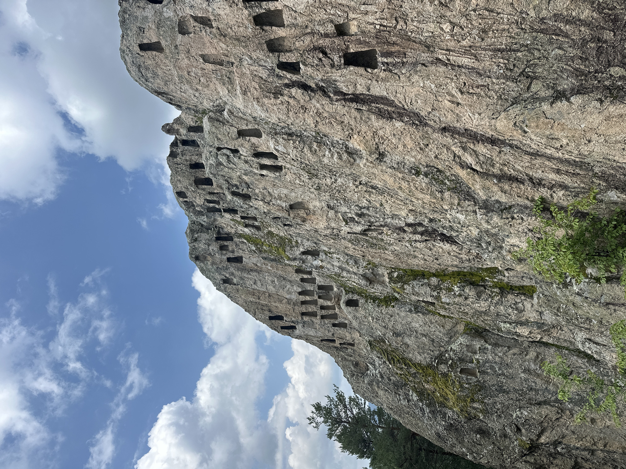 The image displays a massive, rugged rock cliff face, dominated by numerous rectangular and trapezoidal niches carved into its weathered, grey surface. These man-made openings, varying in size and depth, are arranged in irregular rows and clusters across the rock, suggesting an ancient archaeological site. The rock itself exhibits a rough texture with visible cracks and darker mineral streaks, and patches of green moss and sparse leafy vegetation cling to its surface, particularly in crevices and along the bottom edges.
A bright, clear blue sky with scattered white, fluffy clouds fills the upper left portion of the frame, indicating daylight and fair weather. Sunlight illuminates the rock face, casting distinct shadows within the carved niches and highlighting their three-dimensional nature. Dark green foliage from trees or shrubs is visible at the lower right and bottom of the cliff, suggesting a natural, possibly forested, environment. The scene captures a historical or cultural landmark, likely a rock sanctuary or necropolis, located in Chubrika, Bulgaria. No text is visible in the image.
