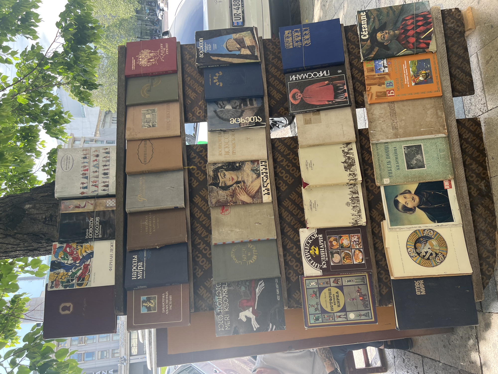 Outdoor book market in Tbilisi, Georgia. Books are displayed on wooden shelves, predominantly in Russian and Georgian. Titles cover art history, culture, and literature. Cezanne book visible. A license plate from a car is visible in the background. Trees are adjacent to the shelves. A tattooed arm and leg from a person sitting nearby are visible.