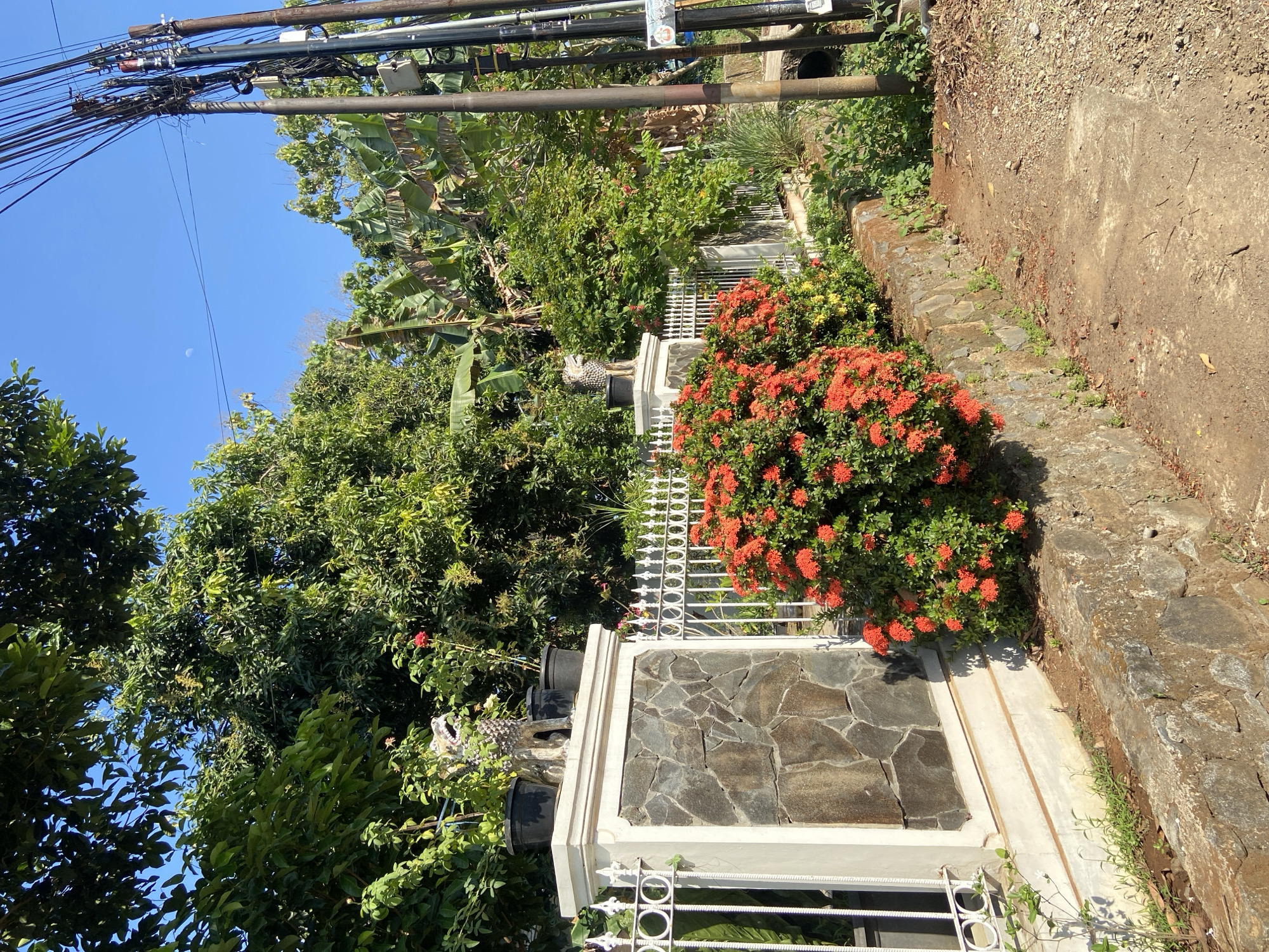 This image depicts a street scene in Margorejo, Indonesia. A white fence with decorative circular elements runs along the left side of the image, bordering a property. A stone pillar, also part of the fence structure, is adorned with a statue of a wolf or dog-like creature in a planter. In front of the fence, a dense bush of bright red flowers lines the wall. To the right of the fence, a dirt path leads away from the viewer, bordered by a low stone wall. Beyond the path and wall, there is a utility pole with numerous electrical wires and some small boxes attached. Lush green trees and vegetation, including banana leaves, are visible in the background, with a clear blue sky overhead. The lighting suggests it is daytime, with sunlight casting shadows.