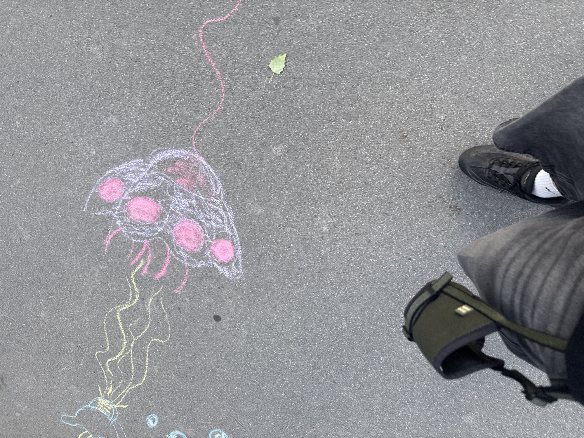 A chalk drawing of a jellyfish is on an asphalt surface. The jellyfish is depicted with a pinkish-purple bell and bright pink spots, with yellow tendrils trailing downwards. At the bottom of the tendrils, a portion of a small, blue-outlined object, possibly a bucket, is visible, along with a few small blue circles, suggesting bubbles. A thin, pink chalk line curves upwards from the jellyfish towards the top left of the frame. A single, small green leaf rests on the asphalt near the top center. To the right of the drawing, a person's legs are visible, wearing dark pants and white socks. They are also wearing black sneakers. A dark green bag with a strap is slung over the person's leg. The asphalt surface is rough and grey, typical of a street or sidewalk. The lighting suggests it is daytime, and the scene appears to be outdoors. The drawing and the presence of a leaf suggest a pleasant outdoor environment. There is no visible text in the image.