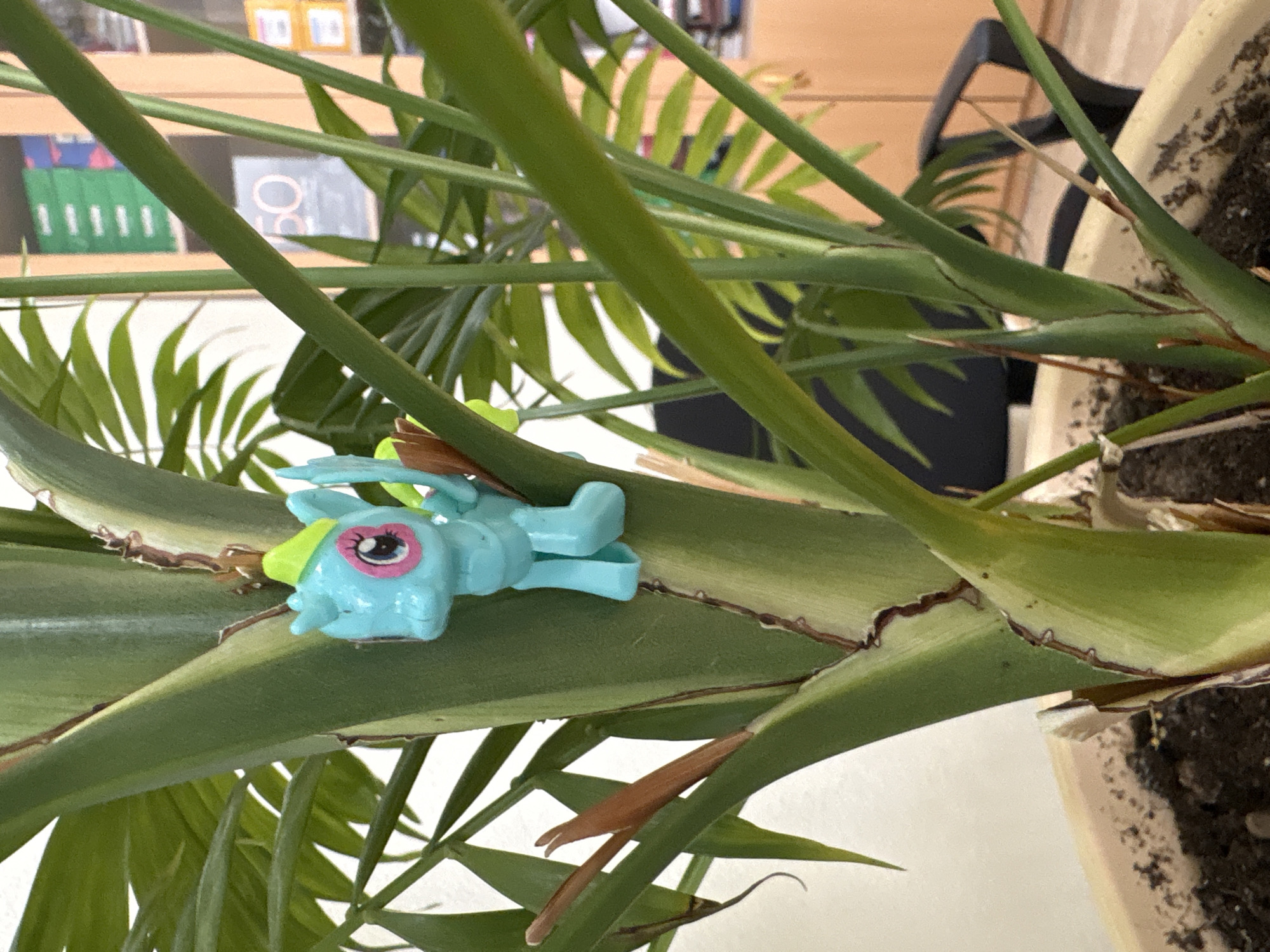 A close-up shot shows a blue plastic toy pony with a green mane resting on a broad green leaf of a potted plant. The toy has a pink heart-shaped mark near its eye. The plant has numerous thin, sharp, pointed leaves. A portion of the plant's pot is visible at the right edge of the image, showing soil. In the background, out of focus, is furniture, including a bookshelf with books and a black office chair. There is no indication of the location as Izhevsk, Russia.