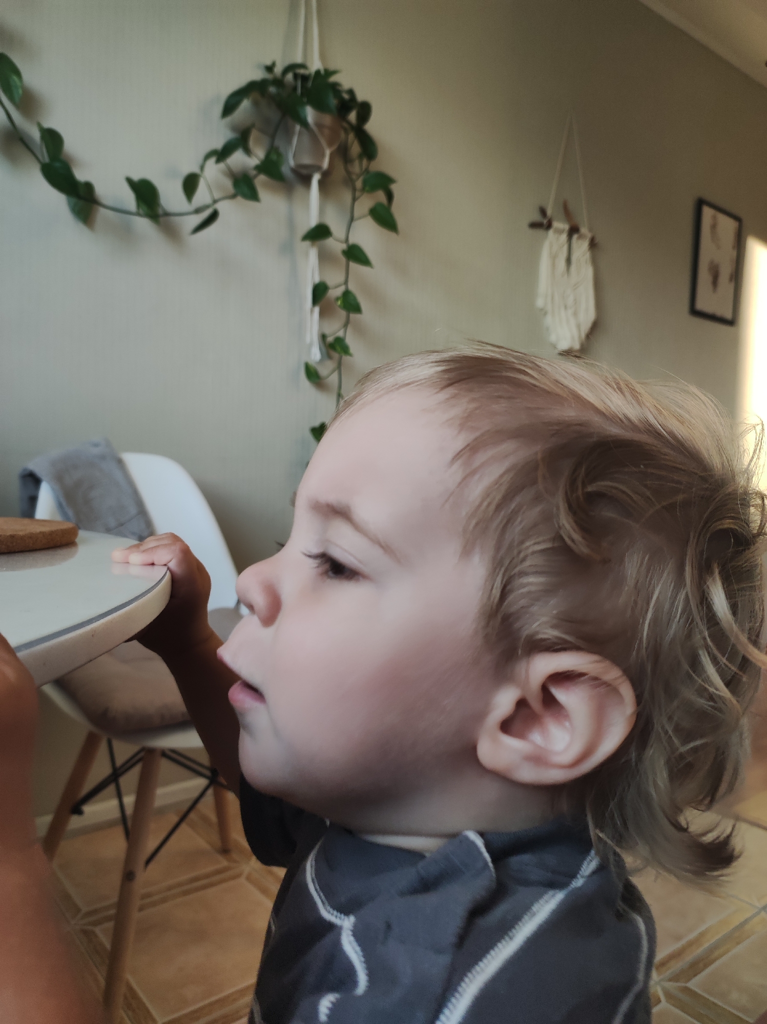 The image features a young child, likely a toddler, standing next to a white table in an indoor setting. The child is viewed in profile, looking intently to the left, off-camera, with a slightly open mouth, suggesting curiosity or focus. They have light blonde or light brown wavy hair and are resting their right hand on the rounded edge of the table.
The background shows a light-colored wall, possibly beige or light gray. A green vining plant, likely a Pothos or similar species, hangs in a white macrame planter, with its leaves and tendrils extending across the wall. Further back on the wall, another white macrame wall hanging with wooden elements is visible, along with a partially visible dark-framed picture or mirror. A modern white chair with light wooden legs and a grey cushion is situated behind the table. The floor is covered with light brown square tiles.
The scene is softly and evenly lit, suggesting it is daytime. The overall setting appears to be a cozy domestic environment, such as a dining area or living room in a home in Chaikovsky, Russia. There is no visible text in the image.