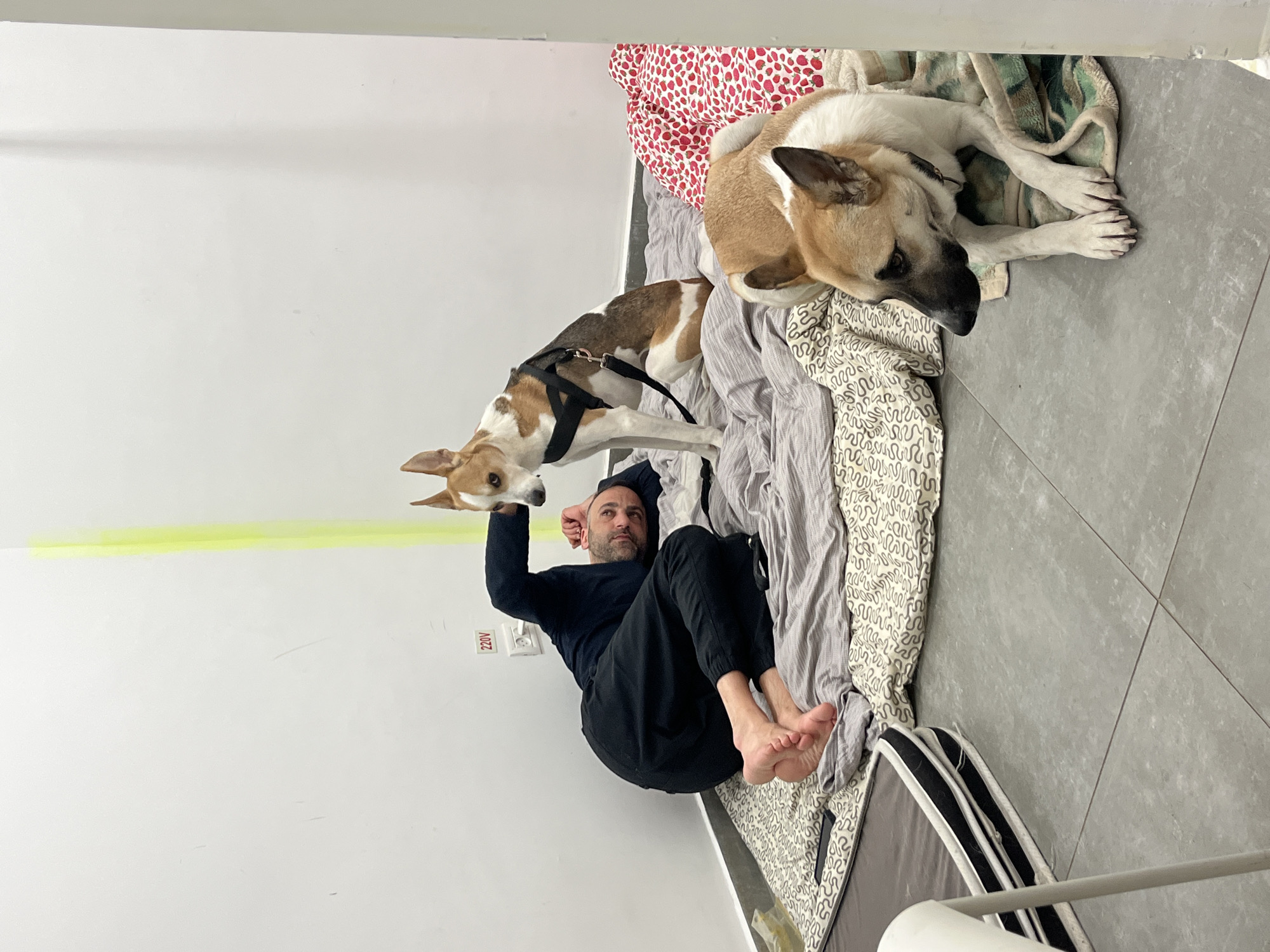 A man lies on a bed on the floor in a room with white walls and gray tile flooring. The bed is covered in multiple layers of bedding, including a red-and-white patterned sheet, a gray sheet, and a white-and-gray patterned sheet. Two dogs are on the bed. One dog, wearing a harness, stands over the man, who is holding its head. The other dog lies at the head of the bed, resting. The man is wearing a black shirt and black pants. A yellow line is on the wall. An electrical outlet marked "220V" is on the wall. An object with black-and-white trim is on the floor near the foot of the bed. The location appears to be indoors. The city of Tel-Aviv, Israel, cannot be confirmed as the location from the image.