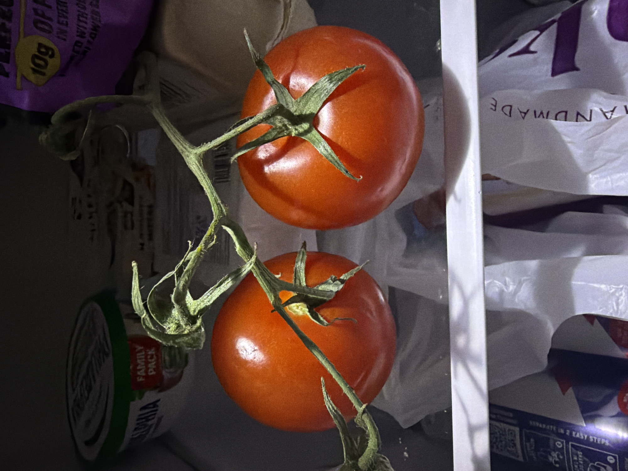 The scene, situated in the city of Maidstone, United Kingdom, depicts two ripe, round, red tomatoes still attached to a segmented green vine stem. The tomatoes are positioned on a white, possibly plastic, shelf. The left tomato is partially obscured by the vine. The right tomato, more prominently displayed, shows its green calyx (sepals) at the stem attachment point.
In the upper-left background, a white plastic tub with a green lid is visible, bearing the labels "PHILADELPHIA" and "FAMILY PACK." To the upper-right, a purple flexible pouch is partially visible, showing yellow text that reads "10g OF PROTEIN." Below the shelf, in the lower portion of the image, various items are stored, including white plastic bags. Text "HANDMADE" is visible on one bag, and a can with a QR code and text "SEPARATE IN 2 EASY STEPS" is visible on another. The environment is dimly lit, suggesting an enclosed space such as a refrigerator or pantry. No individuals are present.