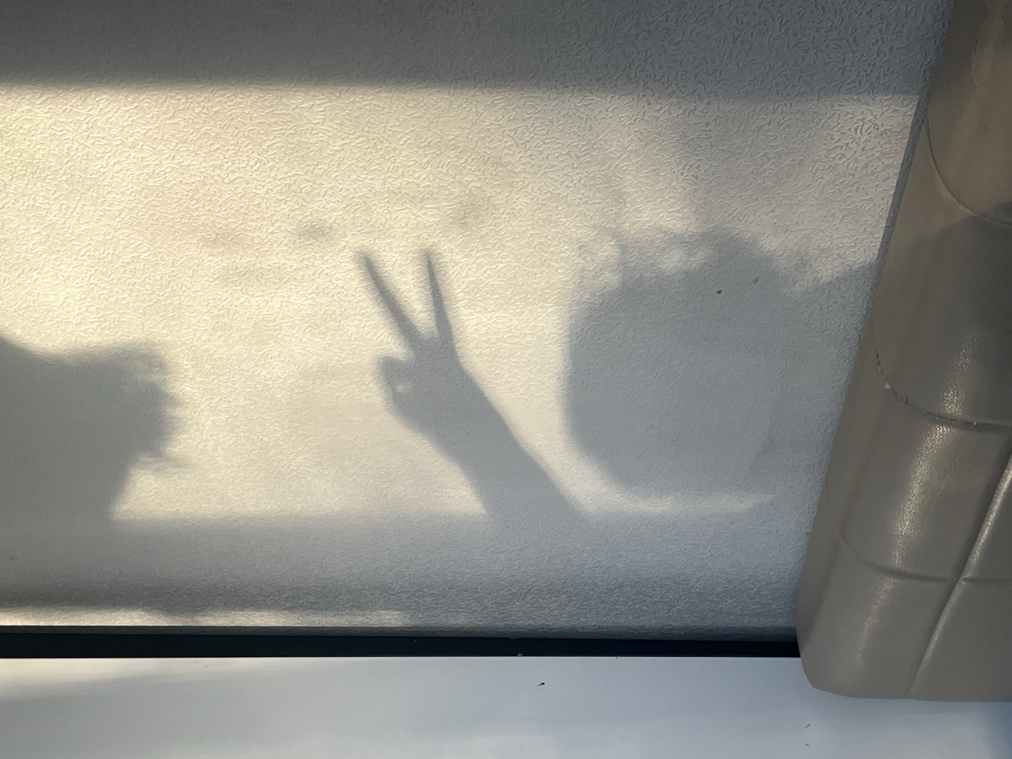 The image shows shadows of two people projected onto a textured, off-white surface, possibly a ceiling or a wall. One shadow, prominently in the center, displays a hand making a "peace" sign with two fingers extended. To the left of this, another shadow suggests a person's head and shoulder, partially obscured. To the right of the peace sign, a larger, softer shadow might represent another person's head with fluffy hair. The lighting appears to be warm and directional, creating distinct shadows and suggesting a time of day with low sun angle, such as late afternoon or early morning. The textured surface has a slightly speckled appearance. On the far right of the frame, a segment of a light-colored, quilted object, possibly upholstery, intrudes into the scene. The overall impression is casual and relaxed, perhaps taken indoors with light coming from a window or artificial source. No text is visible. The location context of Chelyabinsk, Russia, does not provide any specific visual cues within the image itself.