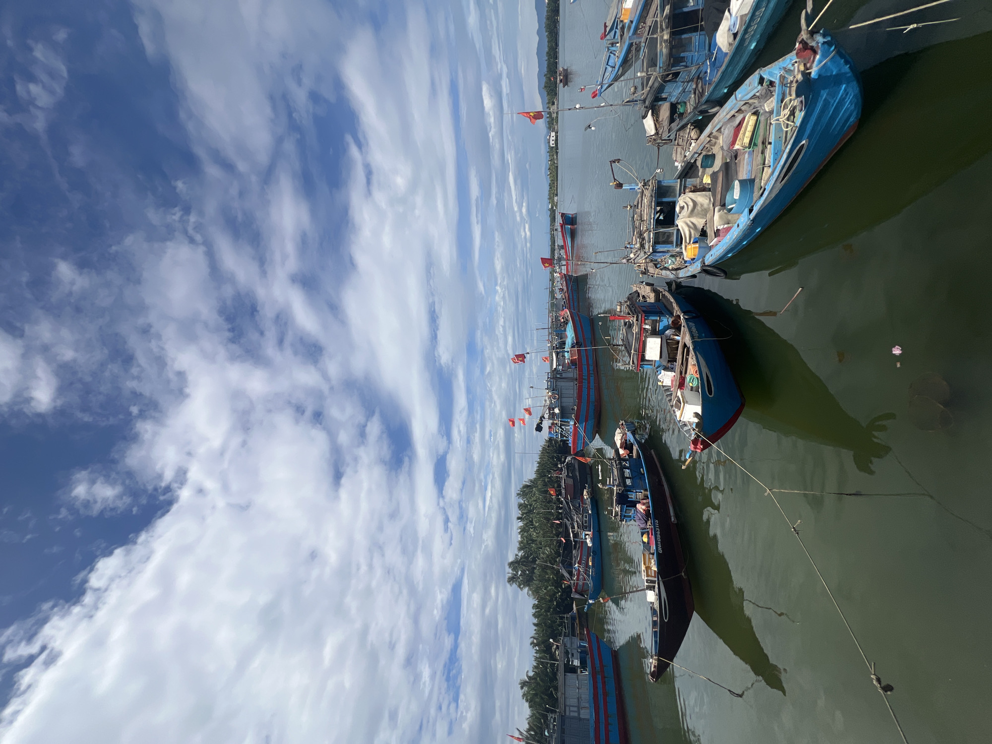 The image shows a fleet of colorful fishing boats docked in the waters of Hoi An, Vietnam, under a bright, cloudy sky. The boats, primarily painted in shades of blue and red, are moored side-by-side, with their reflections shimmering on the calm water's surface. Many of the vessels are adorned with Vietnamese flags, adding to the vibrant nationalistic atmosphere. In the background, lush green palm trees line the shore, hinting at the tropical environment of Hoi An. The scene captures a typical day in the bustling fishing harbor, showcasing the livelihood and culture of the local community.