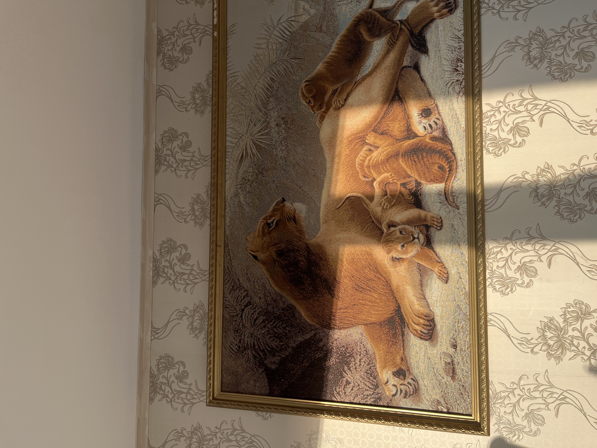 The image shows a framed tapestry of a lioness and her cubs hanging on a wall with floral wallpaper. The tapestry depicts a lioness lying down with several cubs nestled around her. The lioness is looking to the left, and one cub is climbing on her back. The scene is bathed in warm light, casting shadows on the wall and the tapestry. The wallpaper has a light background with a repeating pattern of stylized flowers and vines in a muted gray or beige color. The frame of the tapestry is ornate and golden. The overall impression is of a cozy domestic scene, albeit with wild animals. The location is specified as Kohtla-Järve linn, Estonia.