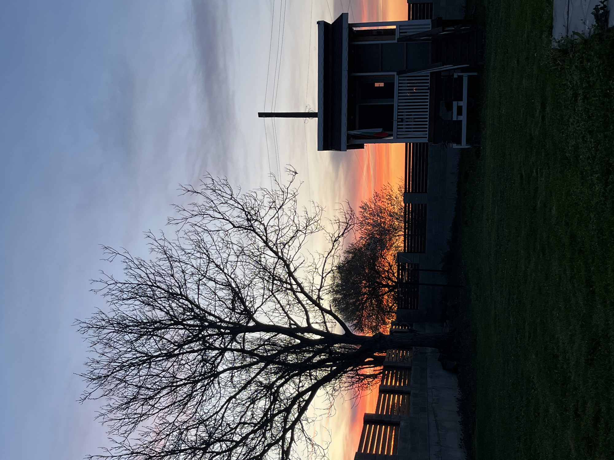 Captured in Pchelnik, Bulgaria, the image presents a landscape at dusk. The sky transitions from a pale blue to vibrant oranges and reds near the horizon. A leafless, large tree dominates the left side of the frame, its intricate branches silhouetted against the colorful sky. To the right, a building with multiple levels and a white railing is positioned next to a power line pole. Lush green grass covers the right foreground, gradually darkening towards the bottom of the image. A low fence runs parallel to the horizon line, with sections illuminated by the setting sun. The overall mood is tranquil, capturing the stillness of the evening.