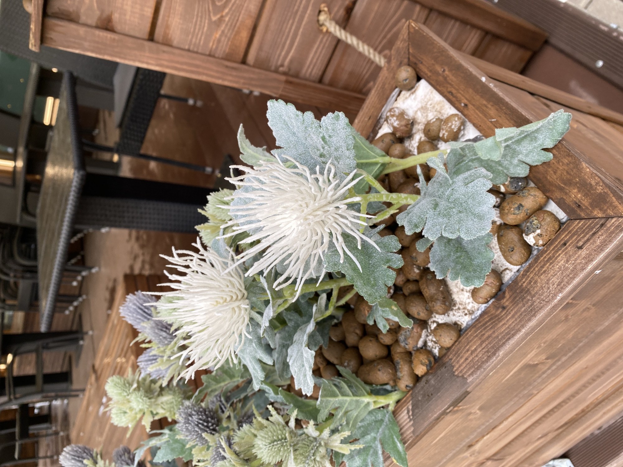 The image is an overhead shot of a decorative planter box filled with faux thistles and foliage. The planter is made of dark wood and contains several large, fluffy white thistles with spiky green leaves. Smaller, less developed green and purple thistles are also visible. The base of the planter is filled with small, brown, oval-shaped decorative stones. The planter is set against a backdrop of wooden planks, likely part of an outdoor setting. The lighting suggests it could be daytime, and the overall impression is one of rustic decor. No people are visible in the image, nor is any text.
