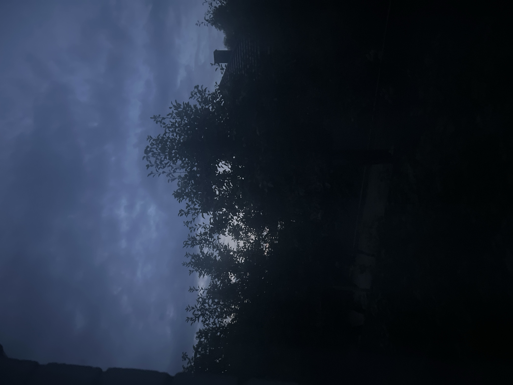 The image depicts a dark, overcast sky above a silhouetted landscape. Trees with dense foliage dominate the foreground, obscuring much of the background, which includes the roof of a building with a chimney. The overall impression is one of twilight or a stormy day in a rural or suburban setting, possibly in Sobishchytsi, Ukraine, given the prompt. The lighting is low, creating deep shadows and a sense of gloom. No people or specific actions are discernible due to the darkness and the framing of the shot.