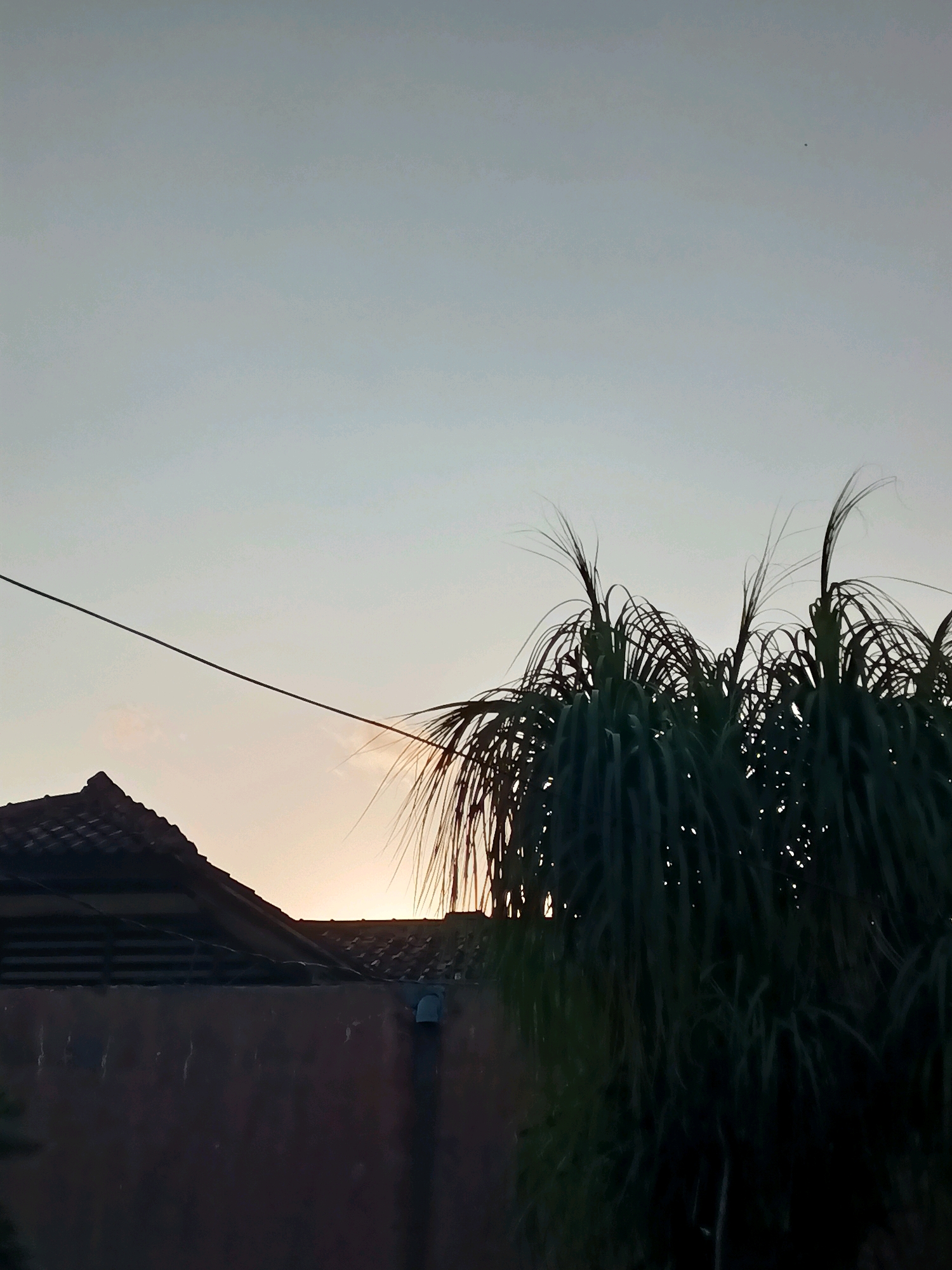 The image depicts a dusky sky above a residential area in Sindang Jaya, Indonesia. Silhouetted against the pale orange and gray sky are the dark green fronds of a Pandanus palm tree, its spiky leaves reaching upwards. To the left, the dark tiled roof of a house is visible, its sharp peak angled towards the setting sun, which casts a soft glow behind it. A thin, dark electrical wire stretches diagonally across the upper left portion of the frame, connecting to an unseen source. The lower part of the image is dominated by a dark brown wall, textured and uneven, with a darker, opaque stripe running horizontally across it. To the right of the wall, a small, cylindrical object, possibly a pipe fitting, protrudes from the wall. The scene is quiet and still, characteristic of a peaceful evening in the Indonesian countryside.