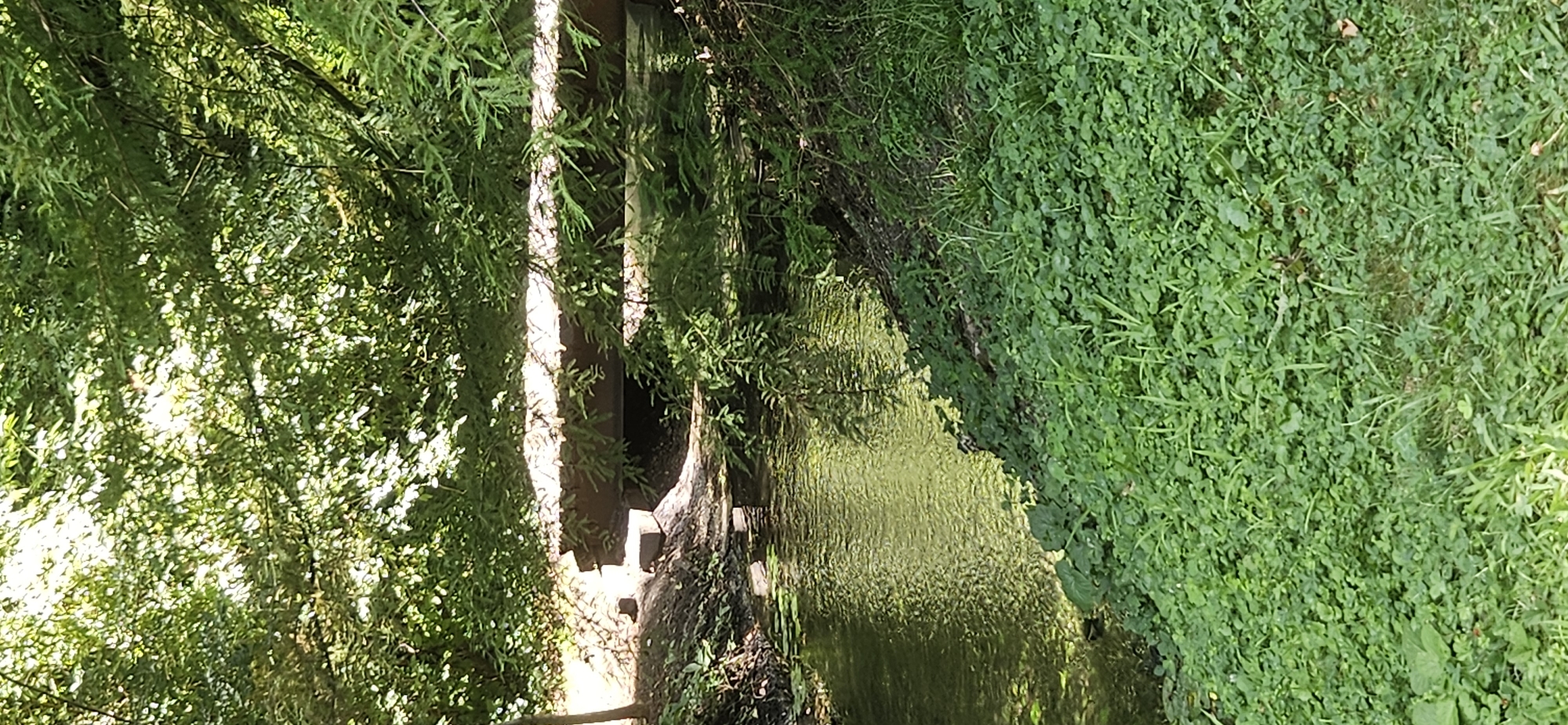 This image depicts a tranquil scene along a narrow, man-made stream that flows under a concrete culvert or bridge. The water is greenish and has a rippling surface. The banks of the stream are densely covered with vibrant green foliage, including grass and clover. Overhanging branches and leaves from trees create a shaded canopy, with dappled sunlight filtering through. On the left bank, a few scattered concrete blocks are visible near the water's edge. On the right bank, the embankment rises and is also covered in thick vegetation. The overall environment suggests a park or natural area within the city of Hévíz, Hungary, likely a drainage channel or a decorative water feature within a landscaped setting. There are no people or animals visible in the image.