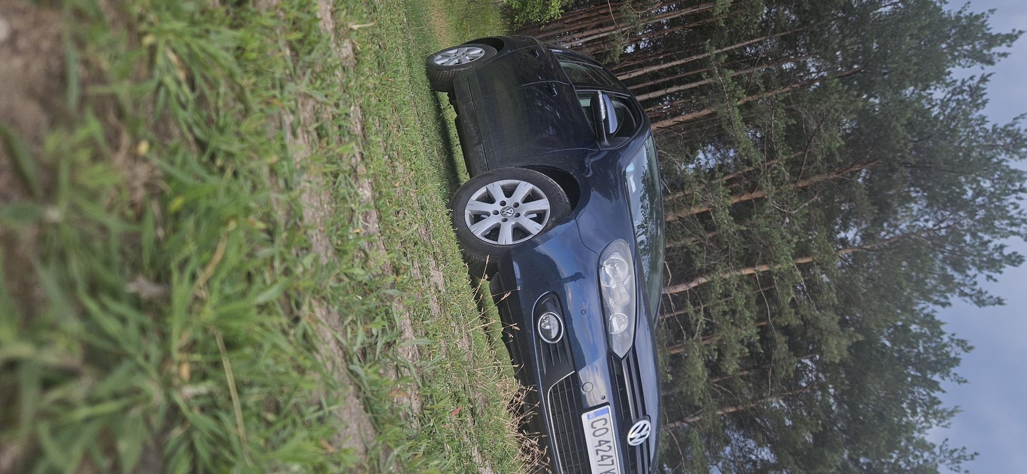 A dark blue/black Volkswagen Golf is parked on a grassy and dirt verge in a natural, wooded setting, likely Momin Prohod, Bulgaria. The image is oriented vertically, with the car appearing on its side. The front passenger side of the car is prominently visible, showcasing the headlight, fog light, grille, and a multi-spoke silver alloy wheel with a central Volkswagen logo. The driver's side front wheel is also visible further back.
The car faces slightly to the right, and its front bumper and grille are clean, with the car appearing in good condition. A Bulgarian license plate is affixed to the front bumper, displaying the characters "CO 4247 K". "CO" denotes Sofia as the registration region.
In the background, a dense stand of tall pine trees stretches upwards, their green needles contrasting with the clear, light blue sky visible through their branches. The ground beneath and around the car is a mix of green grass and patches of exposed brown earth. The scene appears to be set during daytime, under bright but possibly slightly diffused natural light. There are no people visible, and the car seems to be stationary, simply parked in the natural environment.