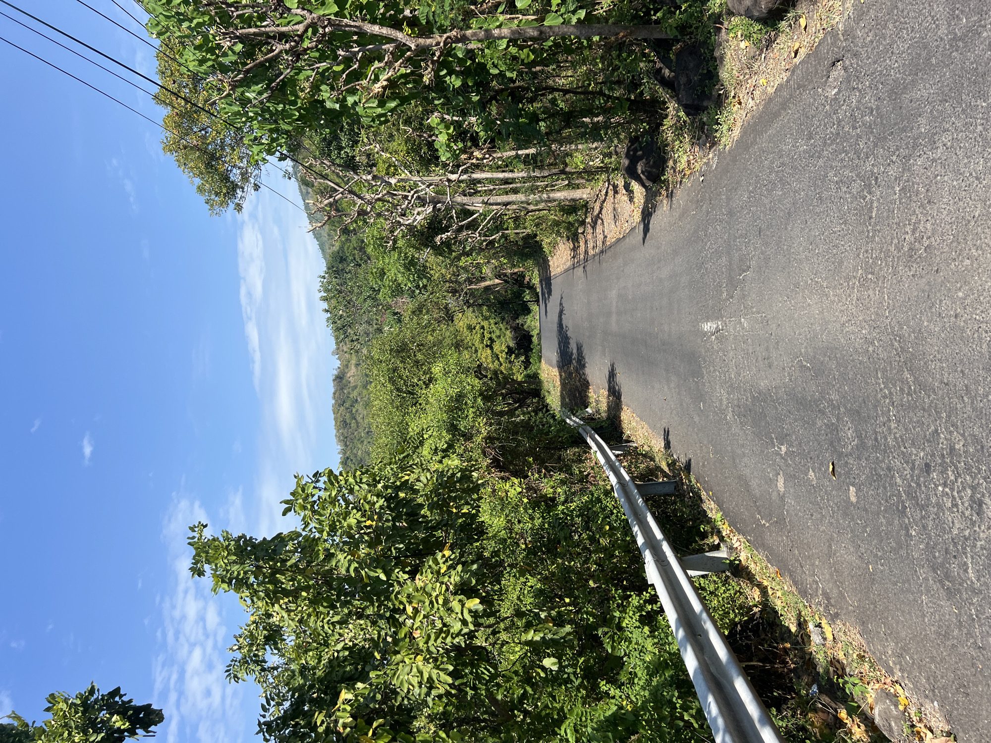 A paved, asphalt road, slightly cracked and worn, stretches into the distance, flanked by lush green trees and vegetation on either side. On the left, a metal guardrail runs parallel to the road, separating it from a dense growth of plants and foliage. On the right, trees with bare, twisted branches are interspersed with greener foliage, and some large rocks are visible near the roadside. In the background, rolling hills covered in greenery are visible under a clear blue sky with scattered white clouds. The scene appears to be a rural road in or near Abang, Indonesia, given the tropical vegetation. There are no people or animals visible in the image. Utility lines are also present, running diagonally across the upper right portion of the frame.