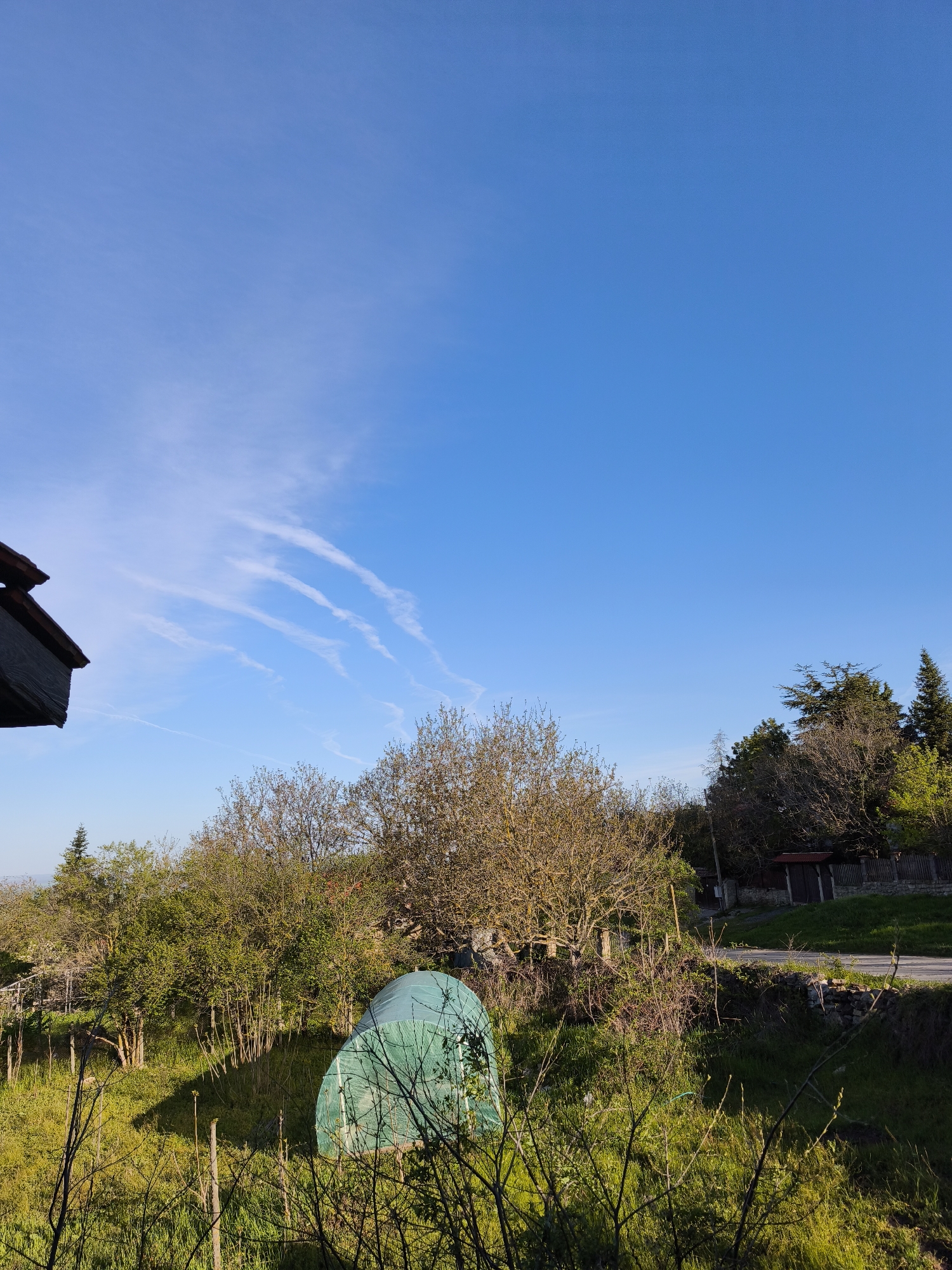 The image depicts a rural scene in the city of Avren, Bulgaria. In the foreground, there is a field of green grass and vegetation, with a partially obscured green plastic-covered structure, possibly a greenhouse or shelter. Trees with bare branches are scattered throughout the field. Beyond the field, there is a road with a low stone wall or barrier. A small wooden structure or shed is visible next to the road. The background is dominated by a clear blue sky with a few wispy clouds. Part of a building, possibly the roof, is visible in the left-hand corner.