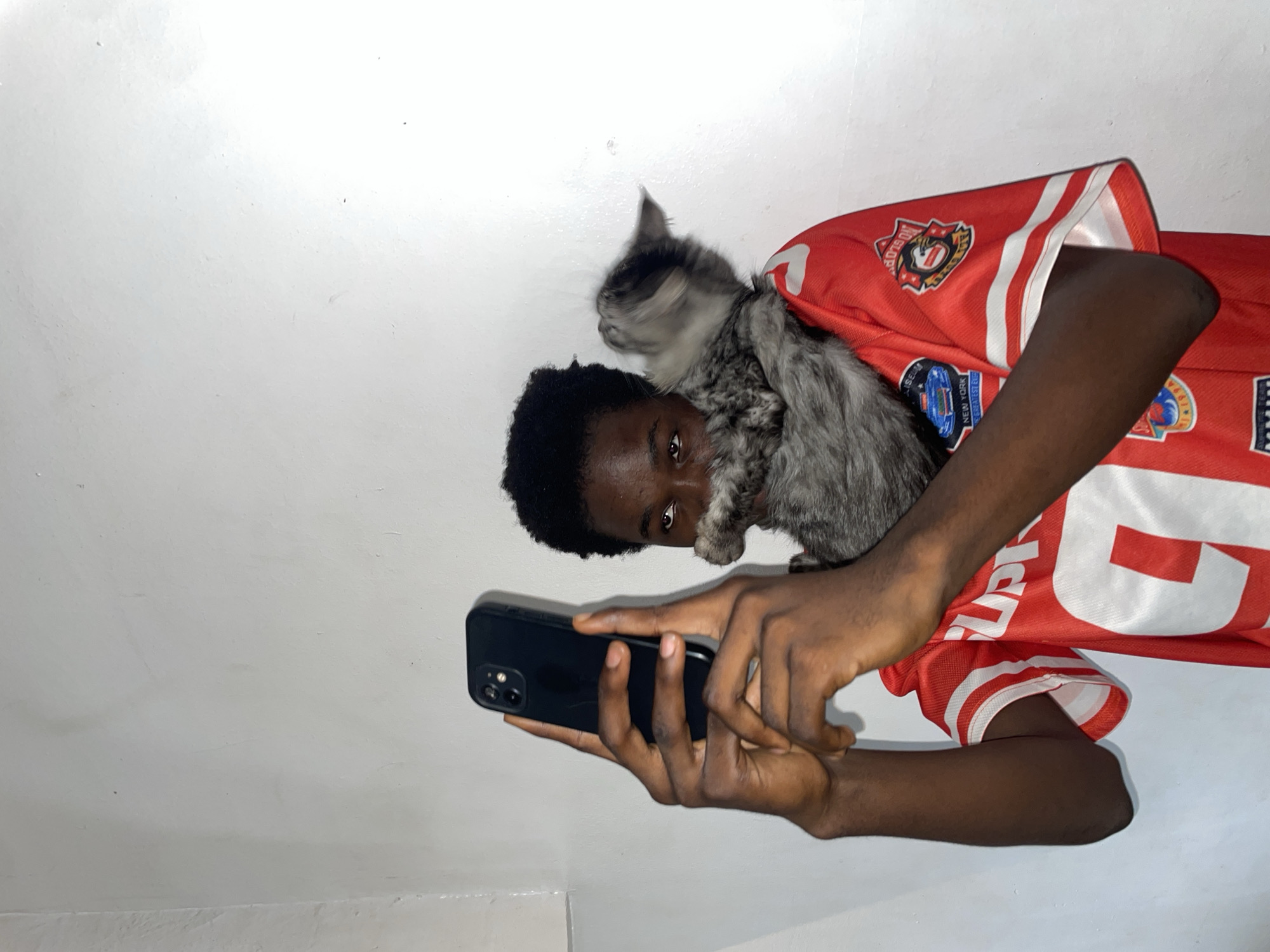 A young Black male is lying on his back, holding a black smartphone in both hands. He is wearing a red and white sports jersey. A grey tabby kitten is perched on his chest. The background is a plain white wall. The location appears to be indoors, potentially in Ado, Nigeria.