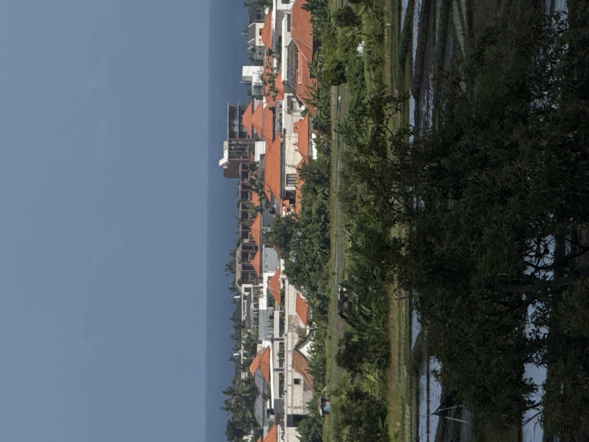 The image shows a coastal landscape with a village of houses, trees, and rice paddies. In the distance, the blue ocean meets a hazy sky. The houses are mostly white with red-tiled roofs, characteristic of tropical architecture. Some of the houses appear to be part of a resort or a residential complex, with modern designs and multiple stories. Palm trees and other lush vegetation surround the buildings, creating a verdant environment. The foreground is dominated by a large, dark green tree with dense foliage. In the mid-ground, terraced rice paddies are visible, with water reflecting the sky. The overall impression is one of a peaceful, rural setting on a tropical coast.