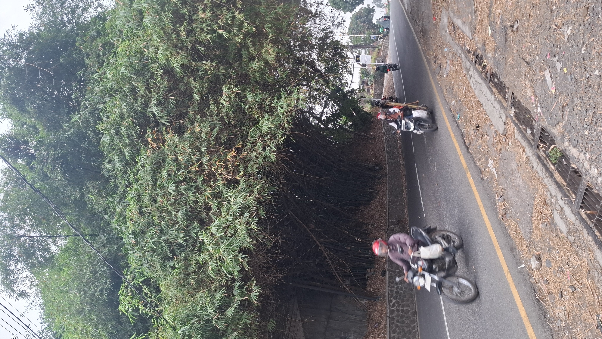 A low-angle, medium shot captures a road in Cilaku, Indonesia, lined with a dense bamboo grove on the left. The bamboo canopy arches over the road, creating a shaded tunnel effect. Several motorcycles, ridden by individuals wearing helmets and casual clothing, travel along the paved road. The road is marked with a yellow line on the right side and a white line on the left. The surrounding environment includes a stone wall bordering the bamboo, dry leaves scattered on the roadside, and a drainage grate. The sky is overcast, contributing to the muted lighting of the scene.
