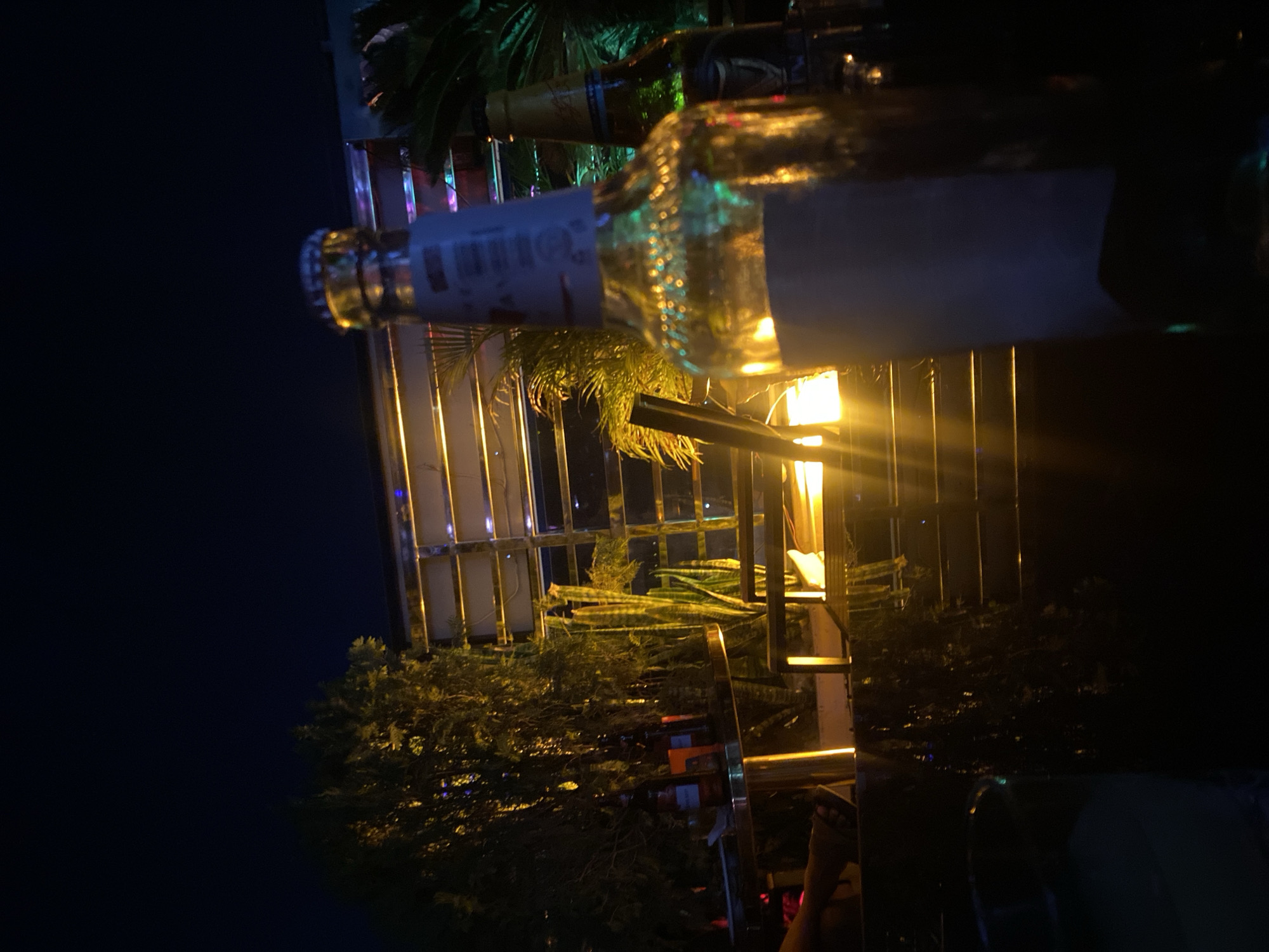 The image depicts an outdoor evening setting, likely a bar or restaurant in Sabon Gari West, Nigeria. In the foreground, two beer bottles are visible. One bottle is closer to the camera and appears to be a pale lager, with a light-colored label. The second bottle, slightly further back and to the right, is darker and shows a label with a Guinness logo. The background reveals a tropical or semi-tropical environment with lush green foliage, including a tall cactus-like plant. The scene is illuminated by warm, artificial lighting, creating a vibrant, possibly festive atmosphere. The sky is dark, indicating it is nighttime. There are indications of seating and tables, suggesting a social gathering space.