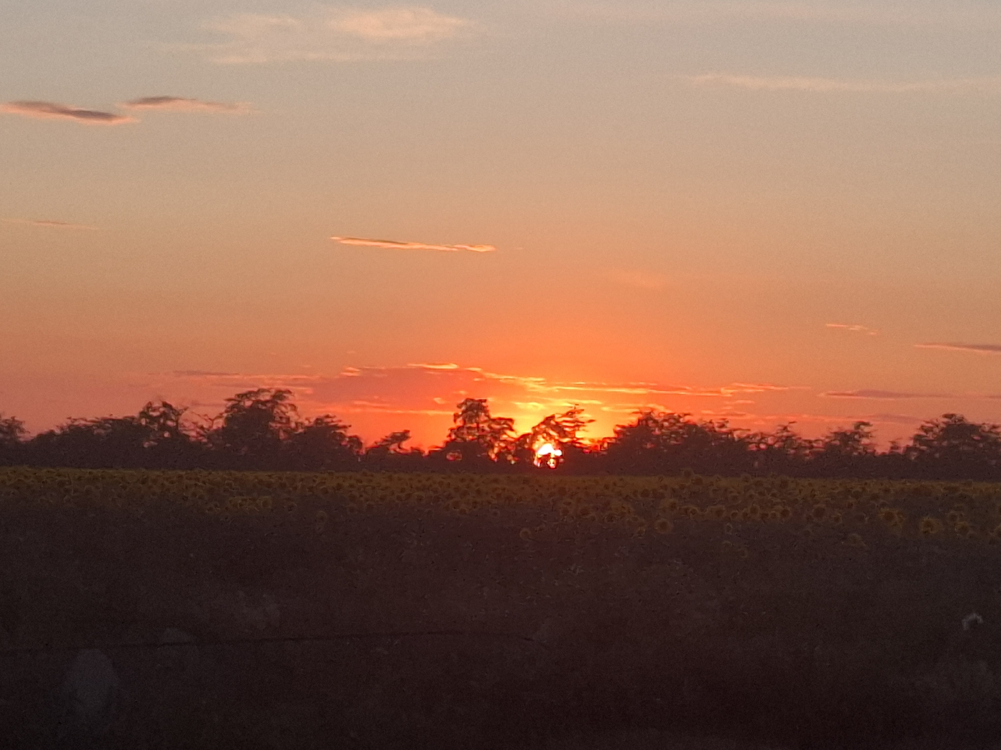 The image shows a sunset over a field of sunflowers in Topaly, Ukraine. The sun is low on the horizon, casting a warm orange glow across the sky. Silhouettes of trees and a line of sunflowers can be seen against the colorful sky. The field is dark, with the sunflowers appearing as small yellow dots. The overall scene is peaceful and serene.