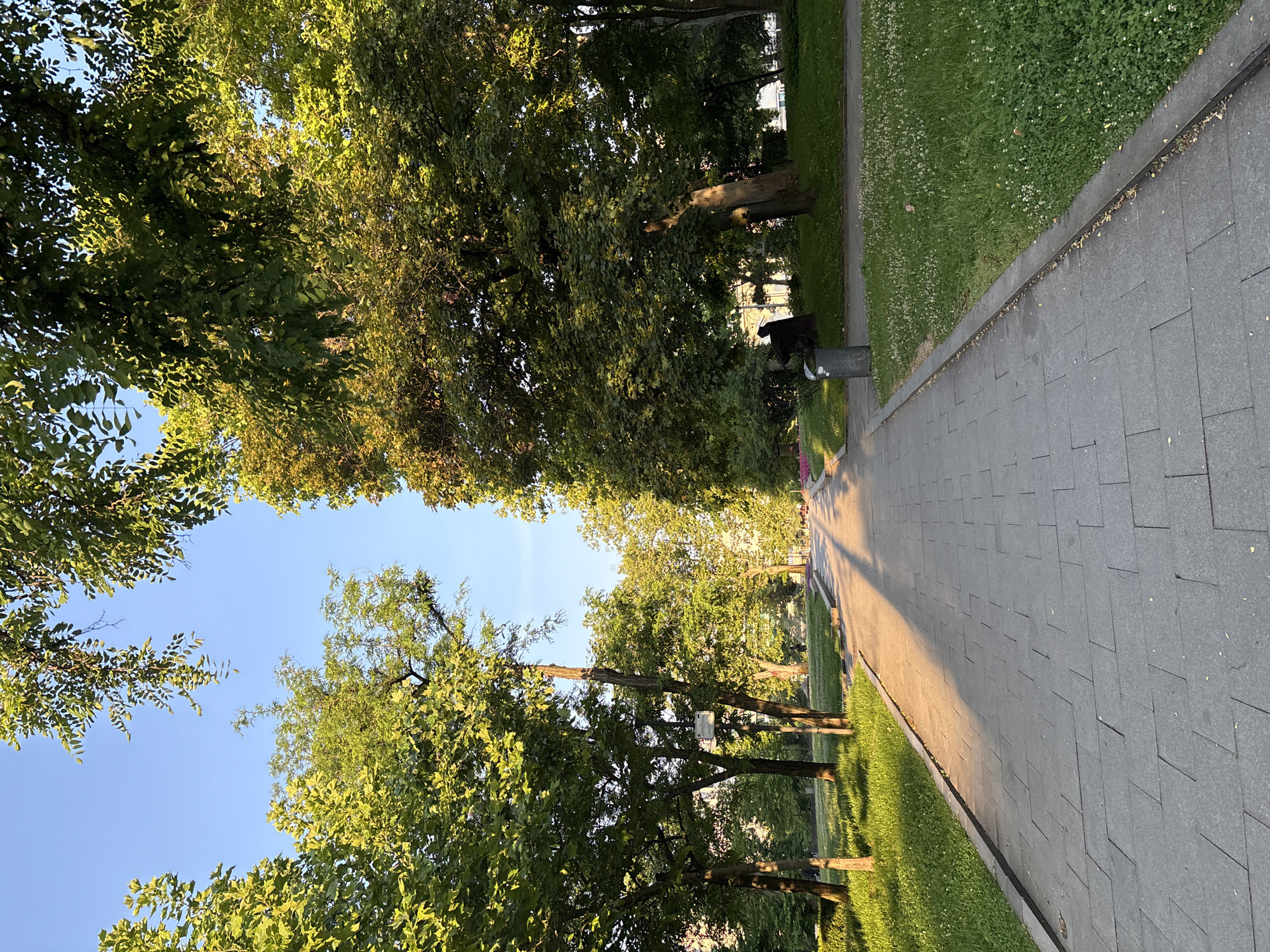 The image depicts a paved pathway in a park in Sofia, Bulgaria. The pathway is lined with green grass and mature trees with lush foliage. The sun is casting long shadows across the path, indicating it is either early morning or late afternoon. The sky is clear and blue. There are no people clearly visible, but there may be indistinct figures in the distance, suggesting the park is accessible to the public. A trash receptacle is visible on the right side of the path. The overall impression is one of a serene, natural setting within an urban environment.