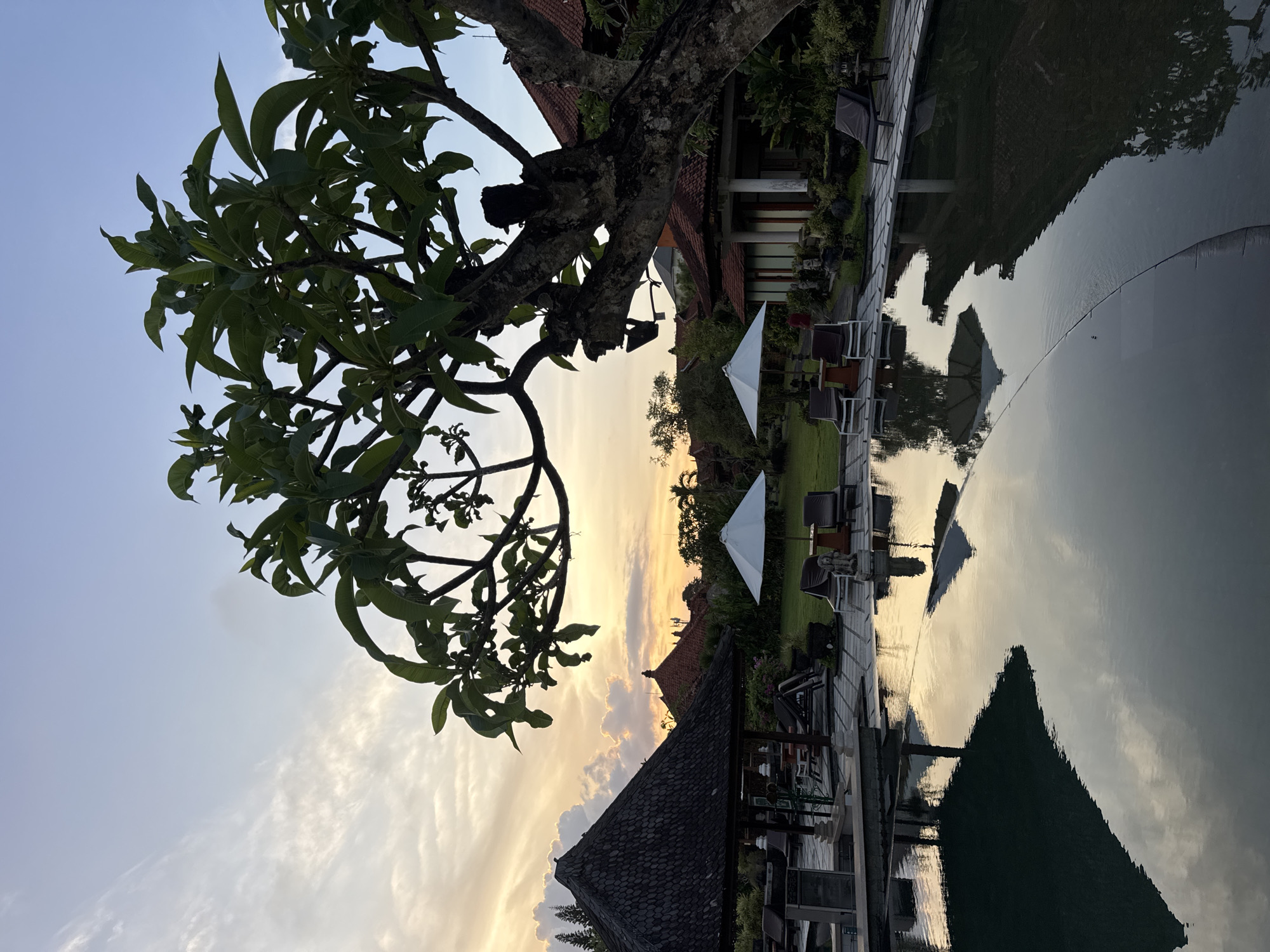 The image shows a scene in Jimbaran, Indonesia, at what appears to be a resort or villa near sunset. A large frangipani tree dominates the left side of the frame, its branches extending into the sky. The sky has soft hues of yellow and orange, indicating the setting sun. In the middle ground, there are chairs and white umbrellas set on a grassy area, possibly a patio. A building with a tiled roof can be seen, and in the foreground, there is a reflection of the architecture in the water, likely a swimming pool or a decorative water feature. There are no people visible in the image. The focus is on the tranquil atmosphere, the natural elements, and the architectural design.