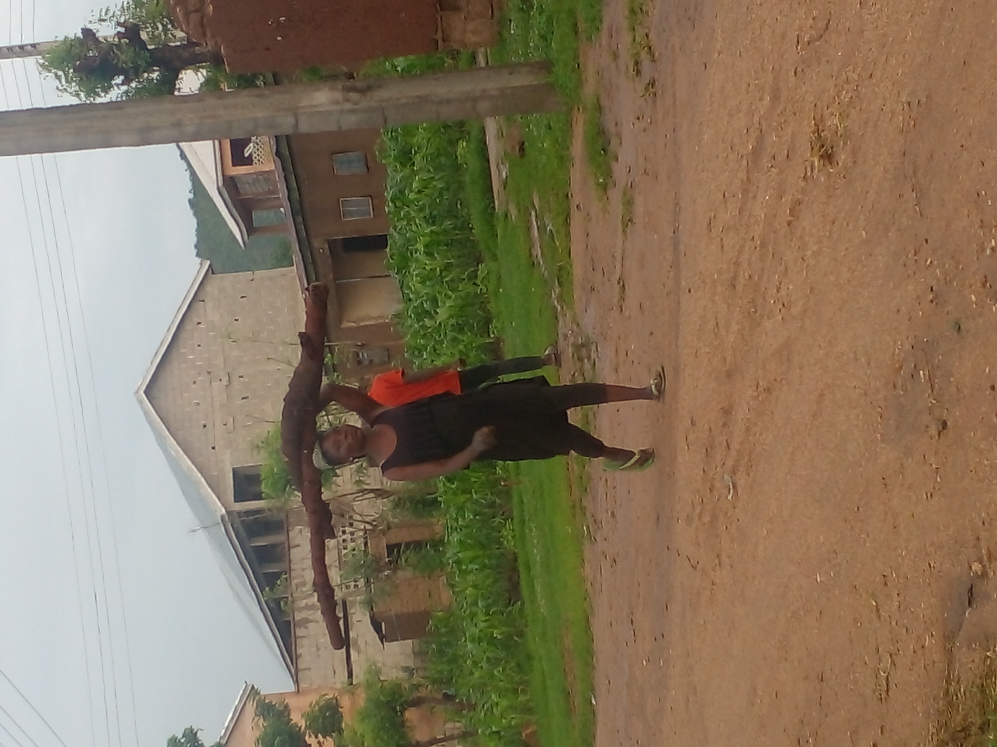 A young woman in a black dress and flip-flops is carrying a large, split tree trunk on her head as she walks down a dirt road in Langtang, Nigeria. She is in the foreground, with a man in an orange shirt behind her. In the background, there are several unfinished brick buildings, some with corrugated metal roofs, and a field of green corn. The sky is overcast. The road is sandy and appears to have some puddles, suggesting it may have rained recently. The scene depicts everyday life and labor in a rural Nigerian town.