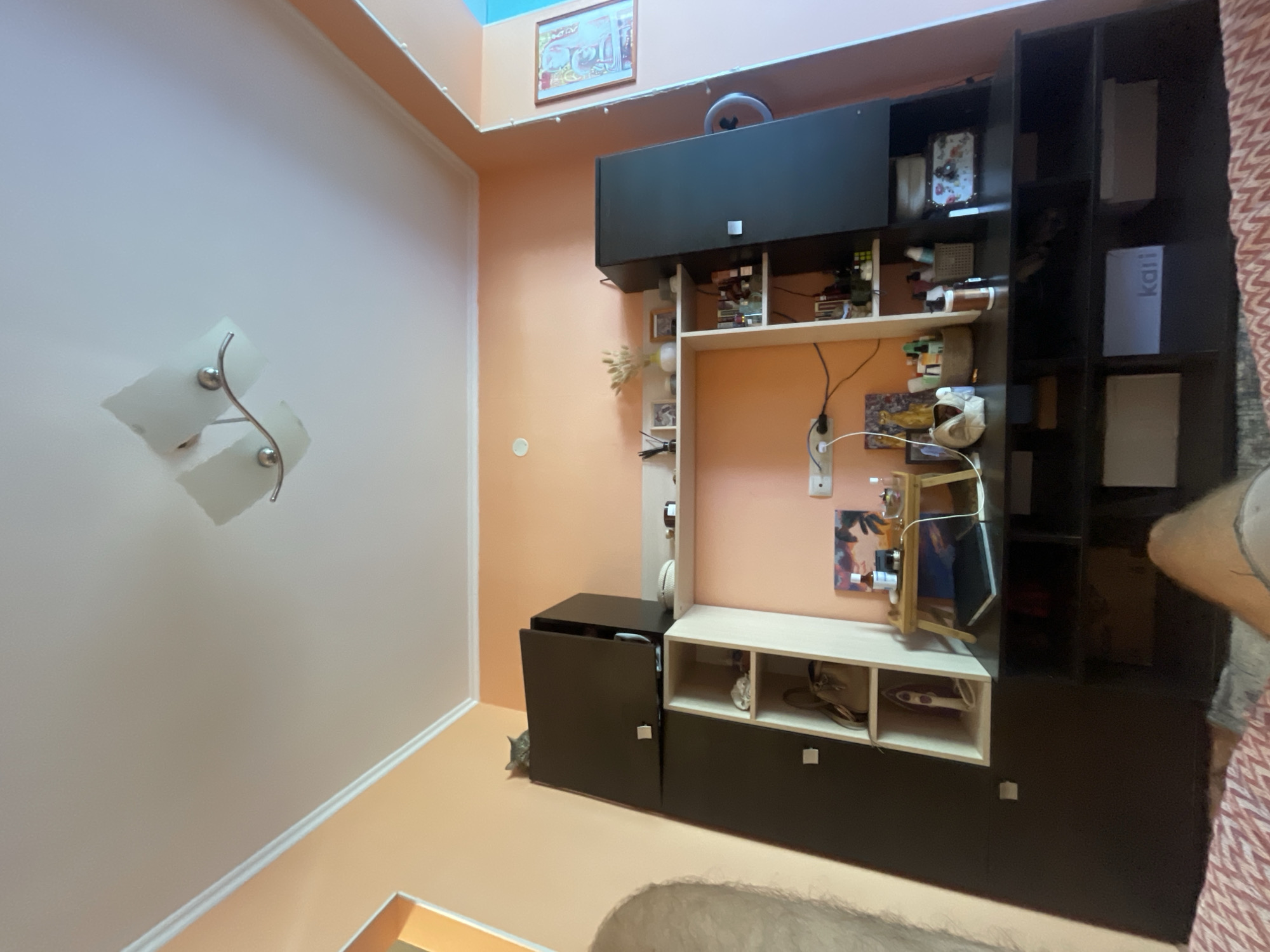The image depicts an indoor scene, likely a bedroom or living area, with peach-colored walls. The focus is on a large, dark brown and light beige shelving unit that dominates the center of the frame. On the top of the dark brown section of the unit, a grey cat is perched. The unit itself contains various items including a beige handbag, an iron, bottles, and decorative objects. A small wooden tray with bottles and a book is placed on a shelf. Below this shelving unit is another dark brown unit with open compartments containing boxes. The ceiling features a modern light fixture. To the right, a framed picture hangs on the wall. The lighting suggests it is daytime.