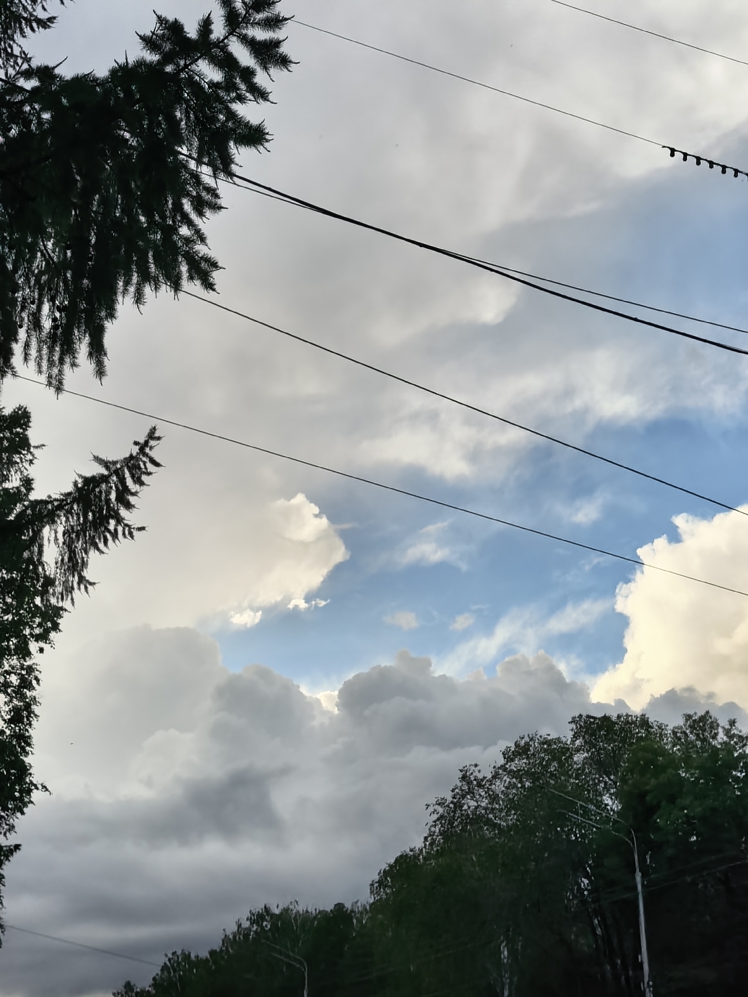 The image presents an upward-looking view of a sky filled with a dramatic interplay of clouds, framed by tree foliage and utility lines. The sky displays a clear patch of bright blue towards the upper middle and right, contrasting sharply with large, voluminous white cumulus clouds that glow with hints of golden light, suggesting late afternoon or early evening sun. Below these, darker, greyish cloud formations are also visible.
Silhouetted against the bright sky, a dense branch of a coniferous tree, likely a fir or pine, extends from the top left corner. In the lower right, the dark green canopy of deciduous trees is visible, partially obscuring a street light pole.
Several dark, taut utility or electrical wires stretch across the sky, intersecting the clouds and foliage. One of the upper wires features a series of small, dark, bulb-like objects or insulators strung along it.
The overall scene captures a moment of dynamic weather, with both bright skies and significant cloud cover present, possibly indicating changing conditions. The presence of utility lines and a street light suggests an urban or suburban setting in Sterlitamak, Russia, as per the provided context. No people or visible text are present in the image.