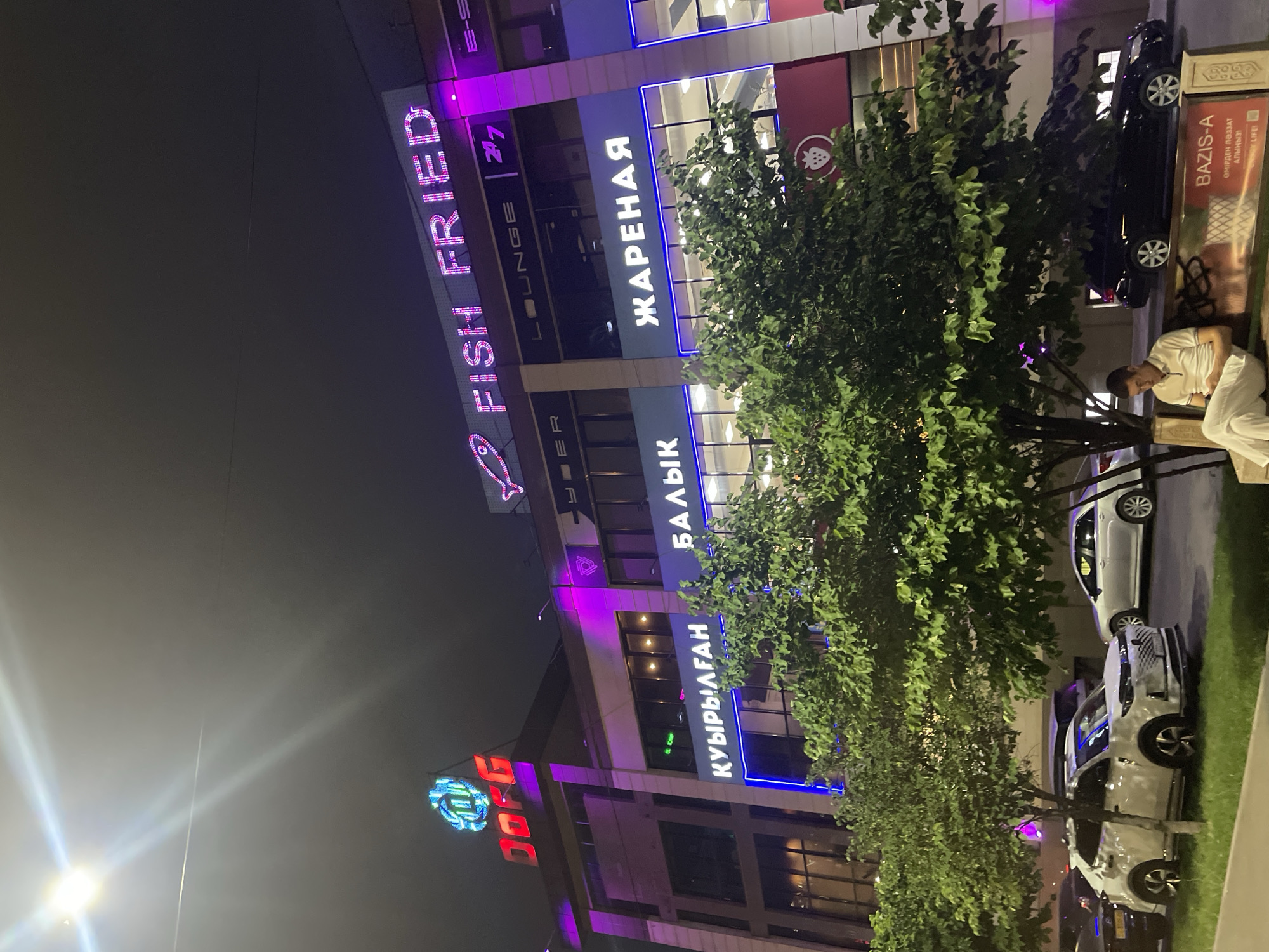The image depicts a street scene at night in Almaty, Kazakhstan, with a focus on a multi-story building adorned with neon signs. The building features prominent signage for "FISH FRIED LOUNGE 24/7" in pink neon, and other signs in Cyrillic script, including "КУЫРЫЛГАН" and "ЖАРЕНАЯ." The building's facade is illuminated with pink and blue lights. In the foreground, several trees with green foliage are visible. Cars are parked along the street, including a white SUV and a silver sedan. A man is seated on a bench in the lower right portion of the image, looking at his phone. The overall environment suggests a commercial or entertainment district.