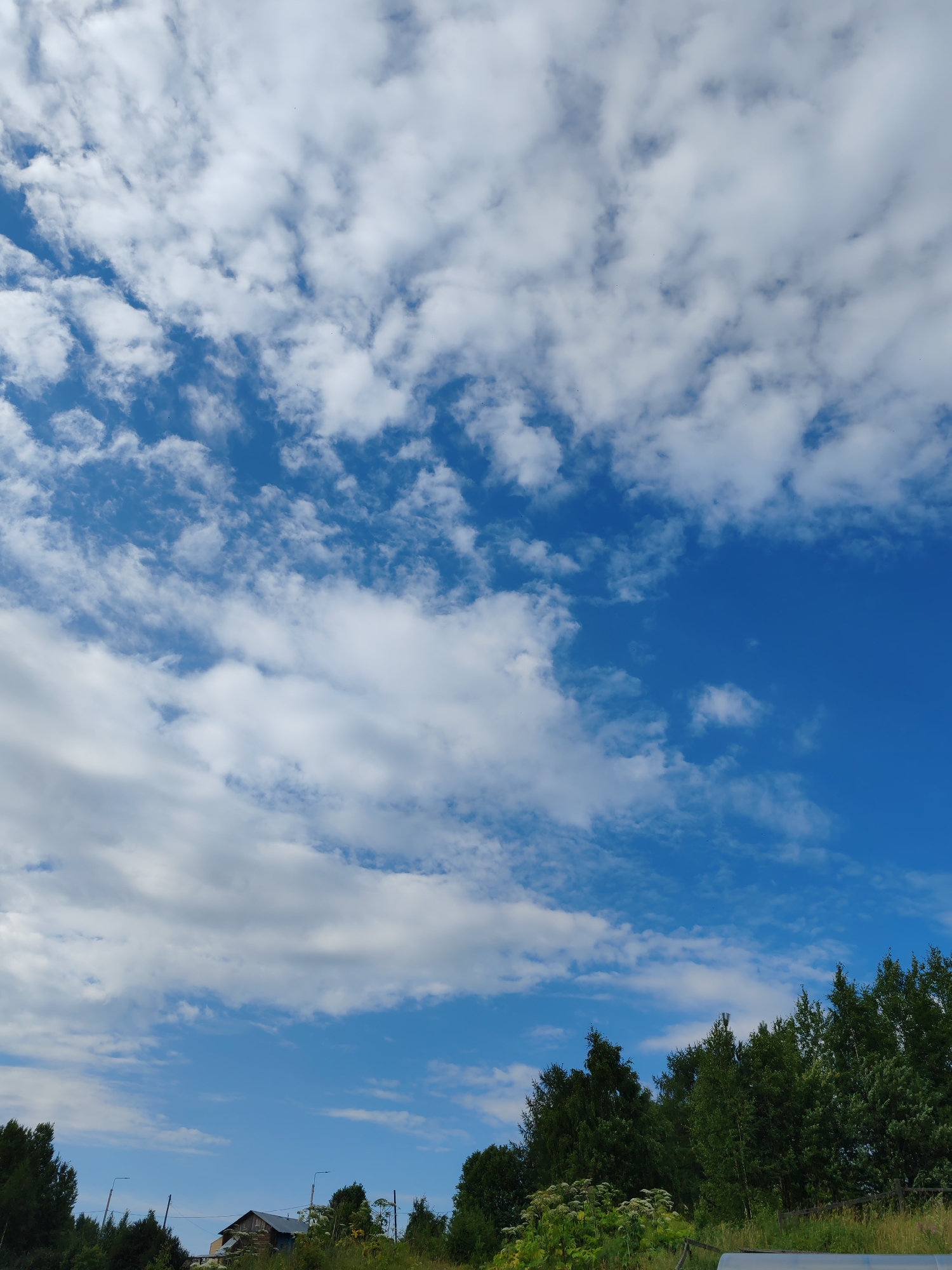 The image captures a bright, partly cloudy sky over a rural landscape. The sky is a vibrant blue, dotted with fluffy white cumulus clouds scattered across the upper portion of the frame. Below the sky, a line of dark green trees dominates the lower third of the image, forming a dense border. Among the trees, a small, rustic building with a dark roof is partially visible on the left side. The ground in the foreground is covered with green grass and some tall, leafy plants. There are no people or animals visible in the image. The scene appears to be a serene, natural environment. This description is consistent with the typical scenery found in the vicinity of Чухлэм, Russia, characterized by open skies, forests, and scattered rural dwellings.