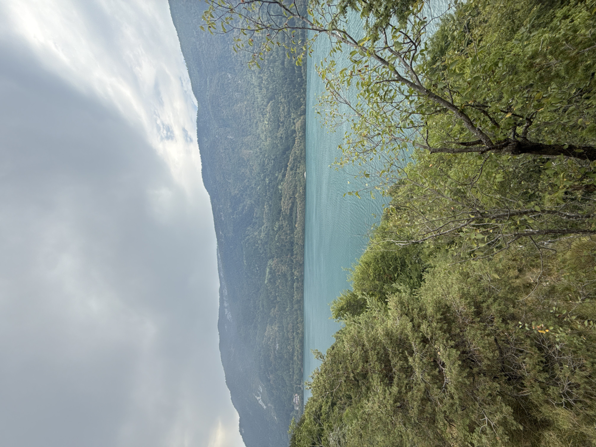 The image depicts a serene natural landscape, likely an alpine lake surrounded by verdant mountains. The foreground is dominated by dense, green foliage, with a mix of evergreen and deciduous trees, their branches reaching into the frame. A pathway of sorts, possibly a hiking trail, is suggested by the uneven terrain and scattered vegetation.
The middle ground features a wide, tranquil body of turquoise-blue water, which appears to be a lake. The surface of the water exhibits subtle ripples, indicating a light breeze. Along the far shore of the lake, a vast, tree-covered mountain range rises steeply. The mountains are layered with different shades of green, suggesting a dense forestation covering their slopes. A few small buildings, possibly a hamlet or scattered residences, are faintly visible nestled on the lower slopes of the mountain on the left side of the frame.
The sky above is overcast, with a mix of light and dark gray clouds, some of which are elongated and wispy, hinting at atmospheric movement. The overall lighting is diffused, creating a soft, natural ambiance. The image captures a moment of quiet natural beauty, with no human subjects or discernible activity present.