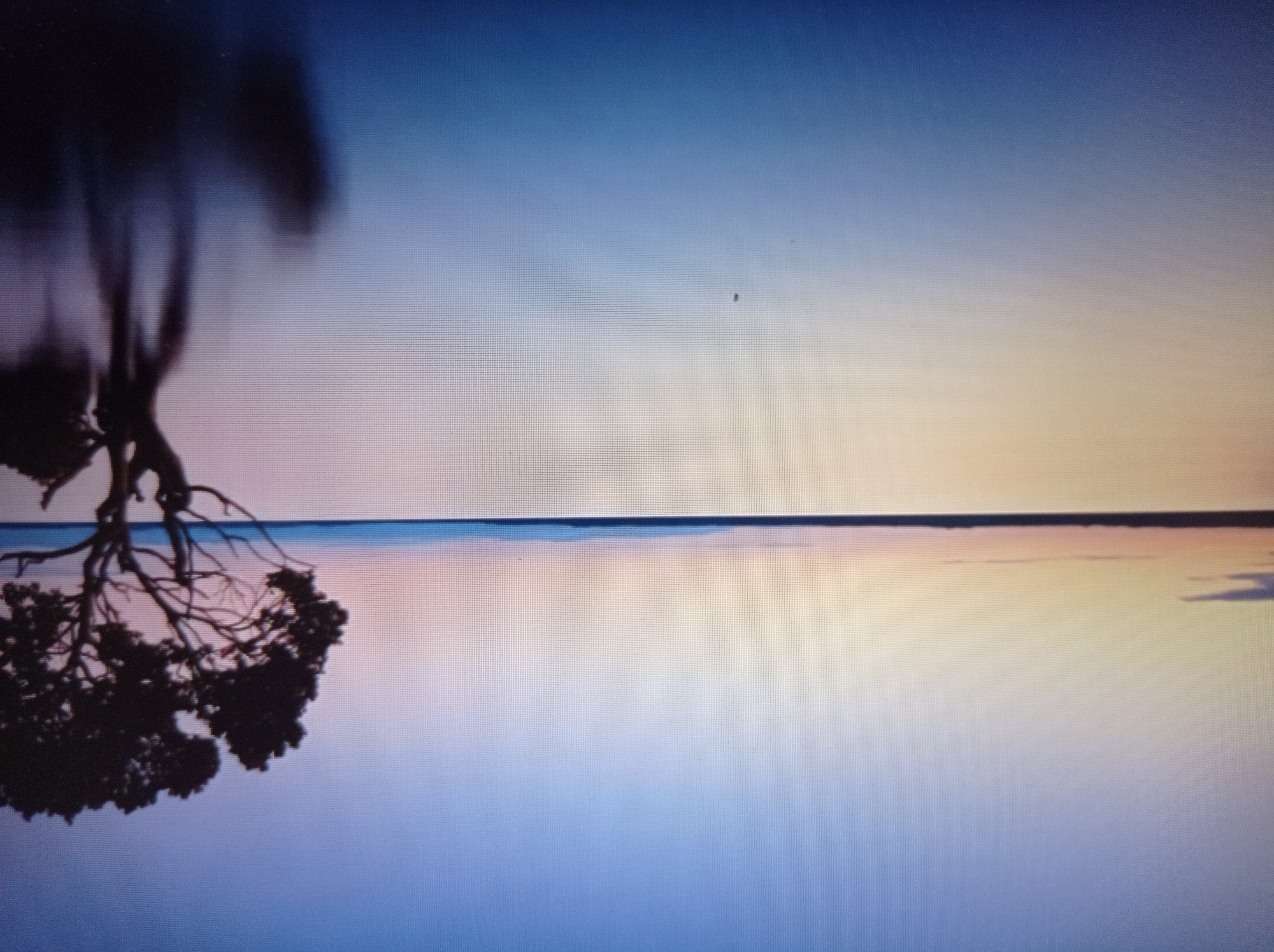 The image depicts a serene landscape at dusk. A solitary tree, silhouetted against the gradient sky, stands on the right side of the frame. The tree has a gnarled trunk and branches, with its dark form creating a striking contrast with the soft hues of the sky. The sky transitions from a pale yellow and pink near the horizon to a deep blue at the top. Below the sky, a vast body of still water reflects the colors of the sky and the silhouette of the tree. The water appears smooth and calm, creating a mirror-like effect that blurs the distinction between the sky and the water in places. The horizon line is distinctly visible, separating the sky from the water. There are no people or animals visible in the image. The overall scene evokes a sense of tranquility and natural beauty.