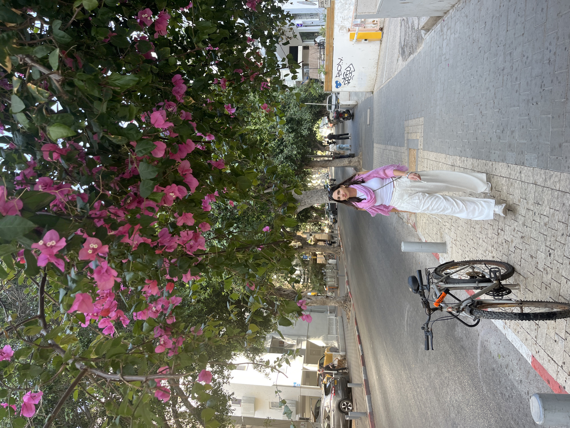 A daytime street scene in Tel Aviv, Israel, features a young woman standing on a sidewalk adjacent to a tree with vibrant pink flowers. She is wearing a white top, white pants, and a pink sweater, with her dark hair flowing down her back. The sidewalk is made of rectangular grey pavers and is lined with red and white painted poles. A bicycle is parked between two poles, parallel to the street. The street is paved and leads to a view of other trees lining the street. In the background, there are buildings of varying heights and architectural styles. Other people are seen walking further down the street. A yellow and white utility box is mounted to the wall of a building. Cars are parked along the street.