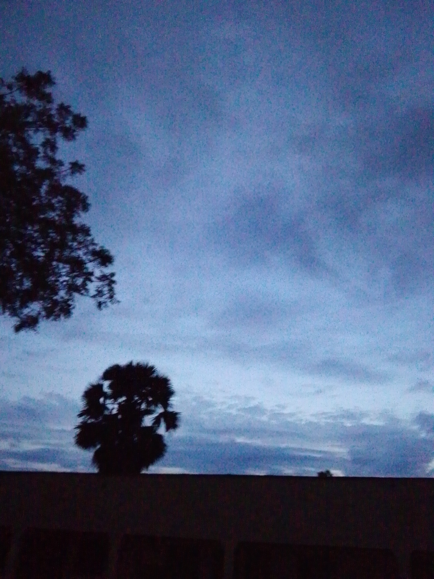 A silhouette of a palm tree stands against a dusky, cloudy sky. The top of the frame is dominated by the gradient of the sky, transitioning from a deeper blue at the top to lighter shades with visible cloud formations lower down. To the left, the dark silhouette of another tree with branching foliage is visible. A dark, horizontal band, likely the top of a structure or landscape feature, runs across the bottom of the image, obscuring the ground. The scene appears to be set in Serti, Nigeria, during twilight.